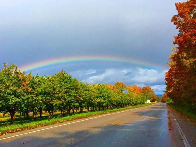 Natural landscape in A Breath of Heaven B&B