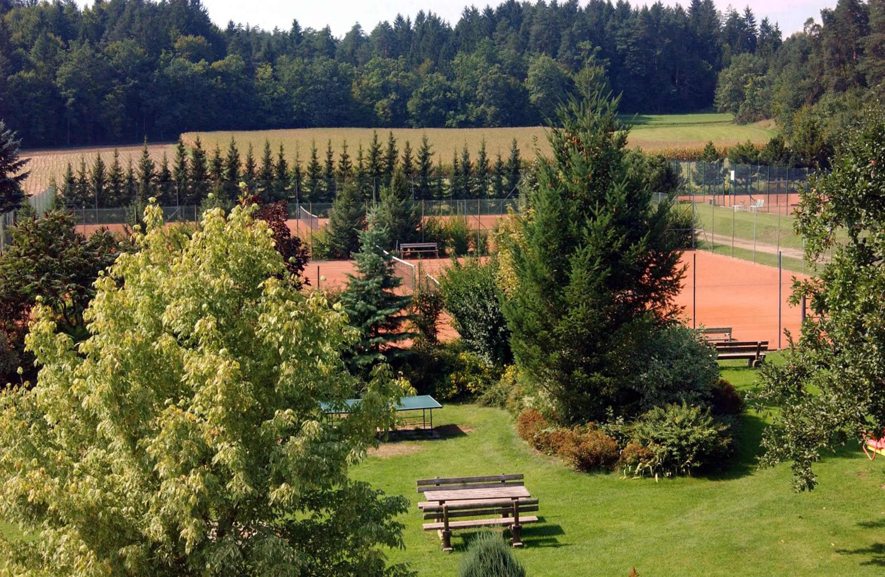 Garden in Hotel Marko