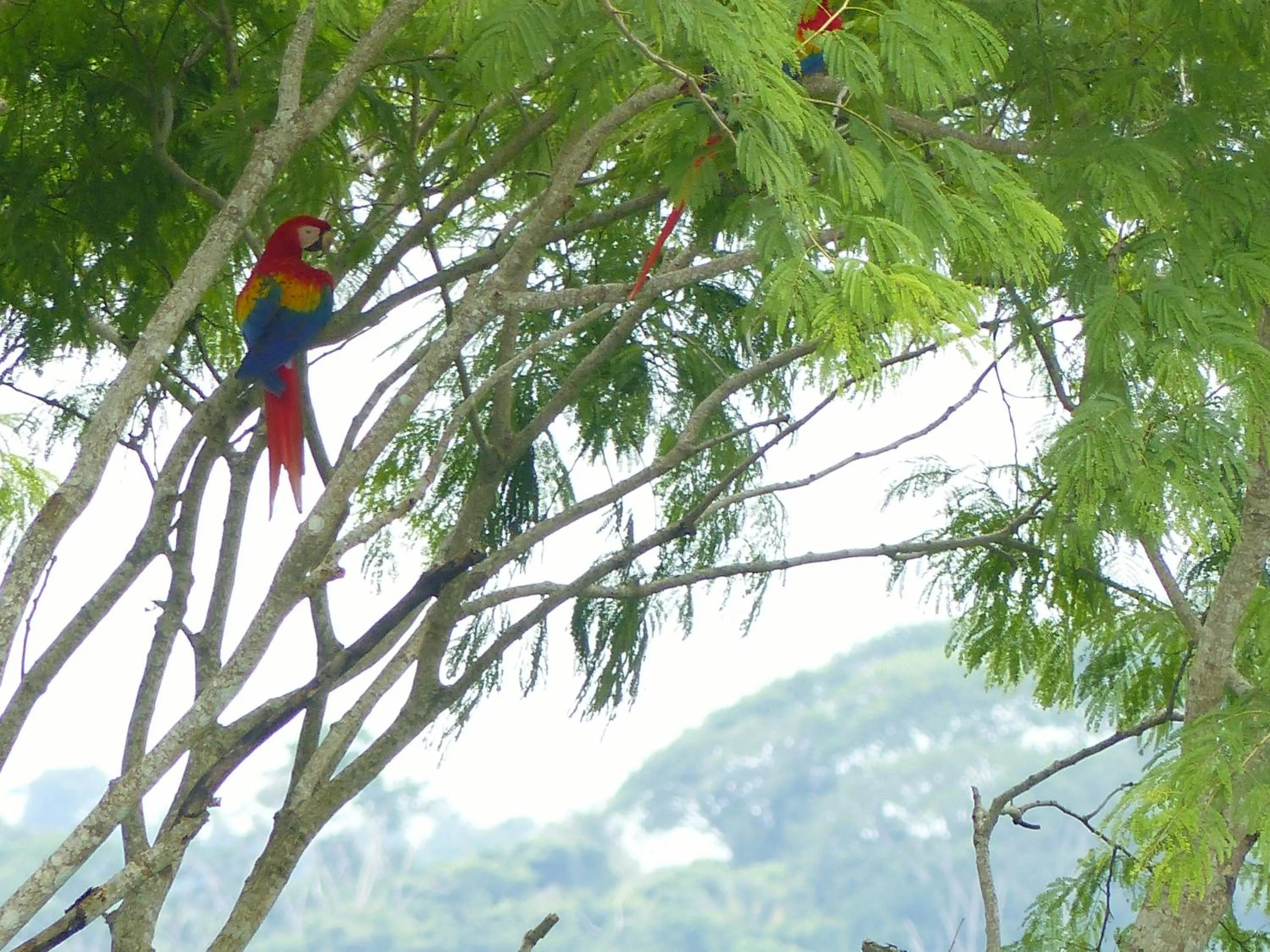 Garden view in Rancho Capulin B&B