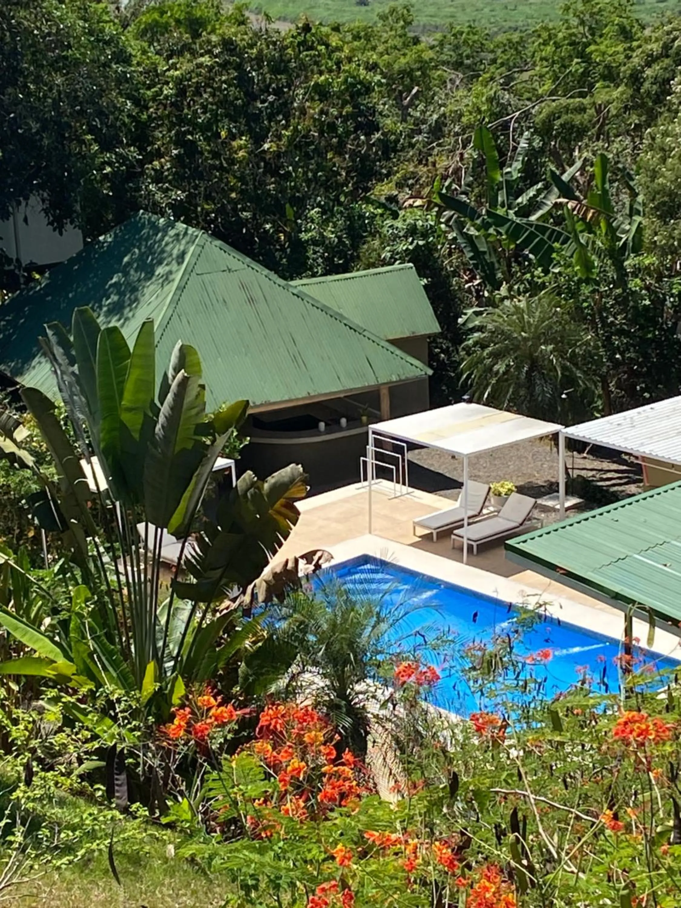 Garden view in Rancho Capulin B&B