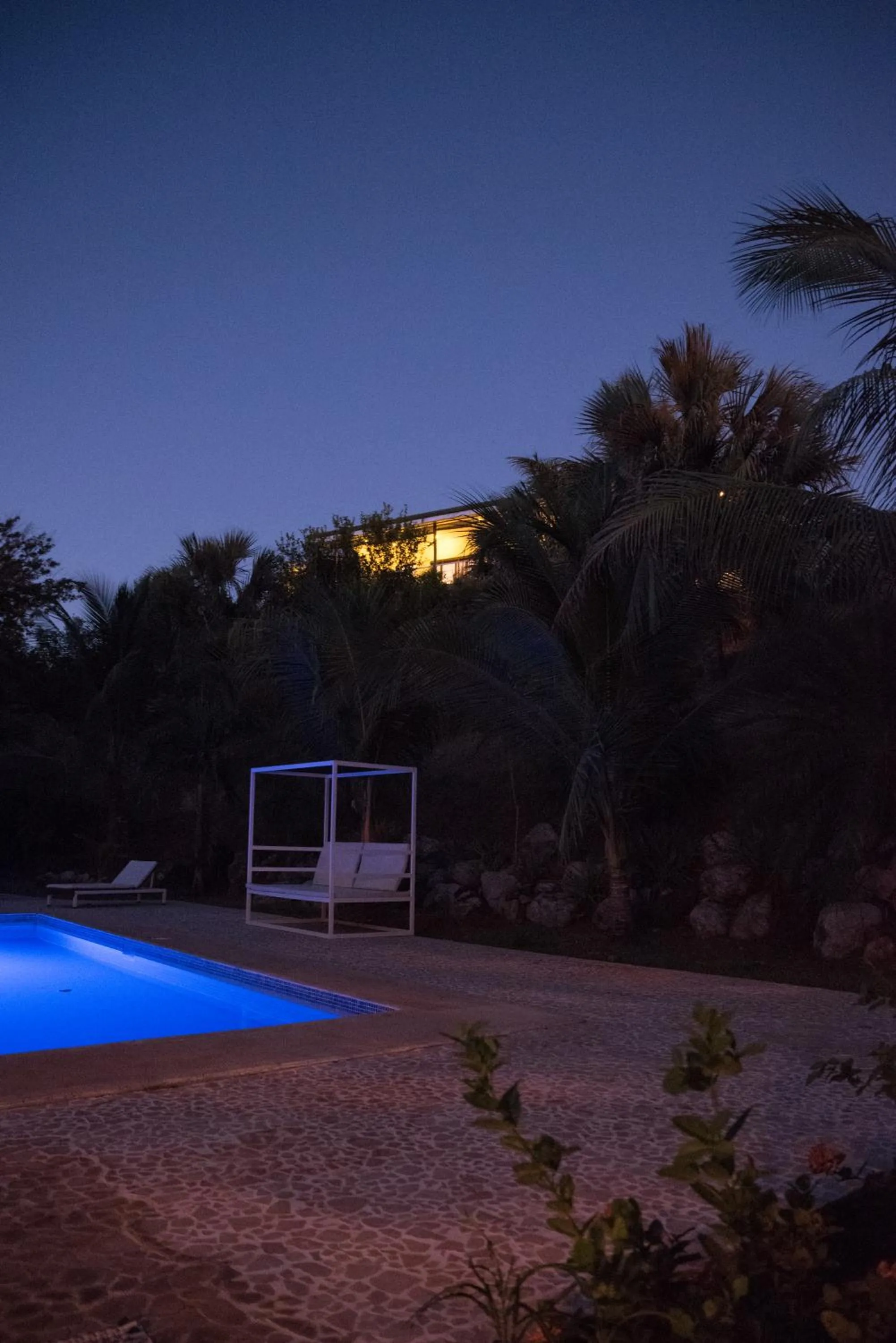 Garden in Rancho Capulin B&B