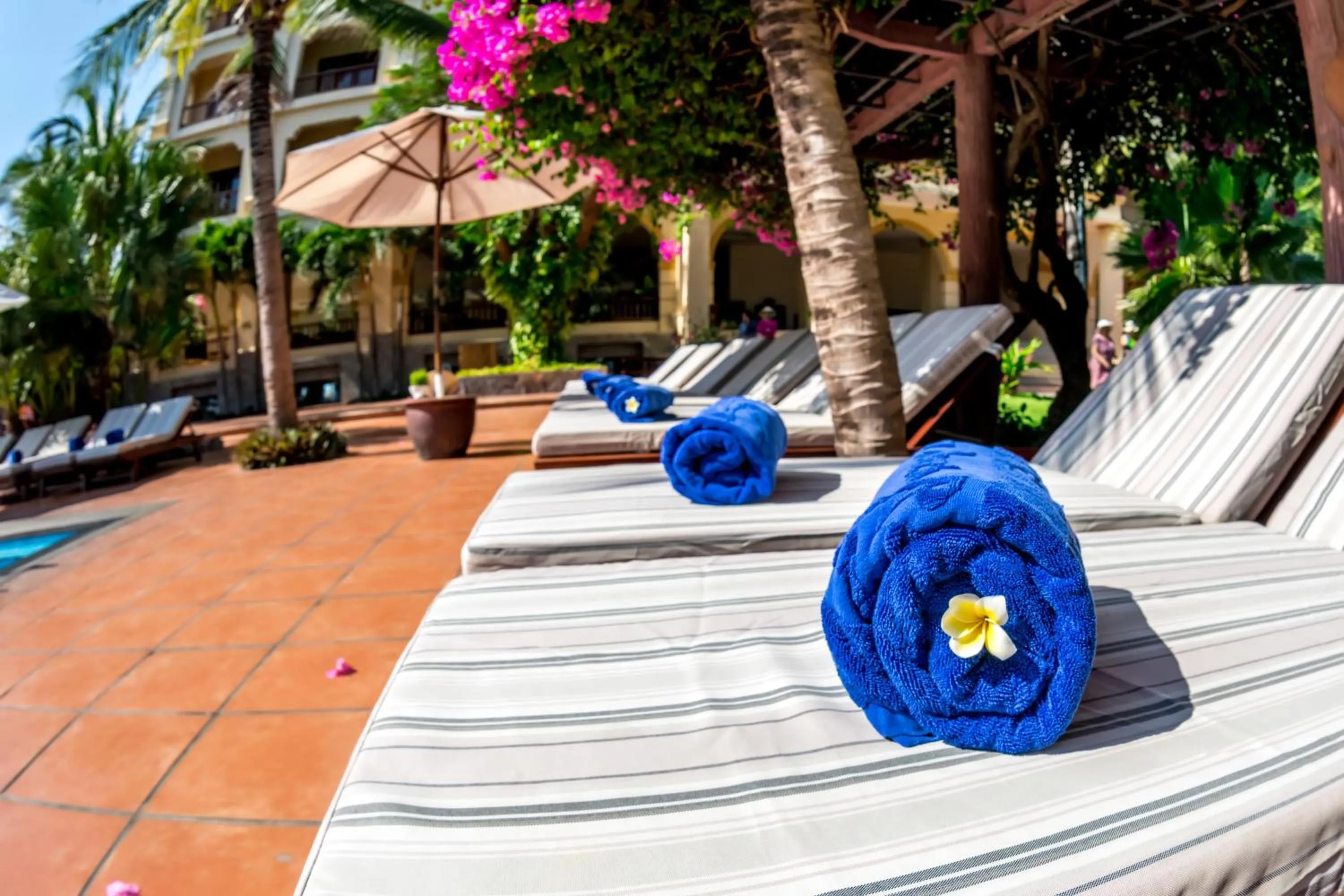 Pool view in Sunny Beach Resort & Spa Mui Ne