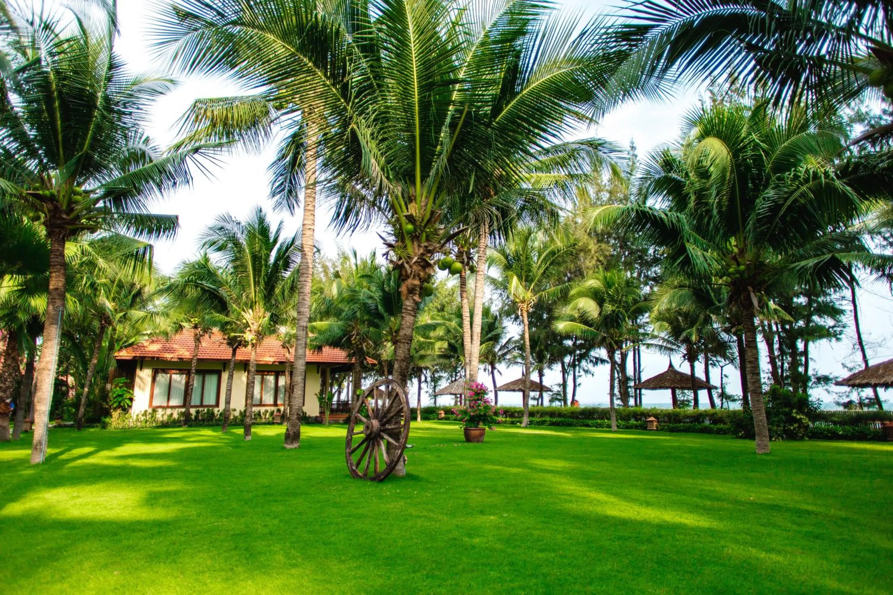 Garden in Sunny Beach Resort & Spa Mui Ne
