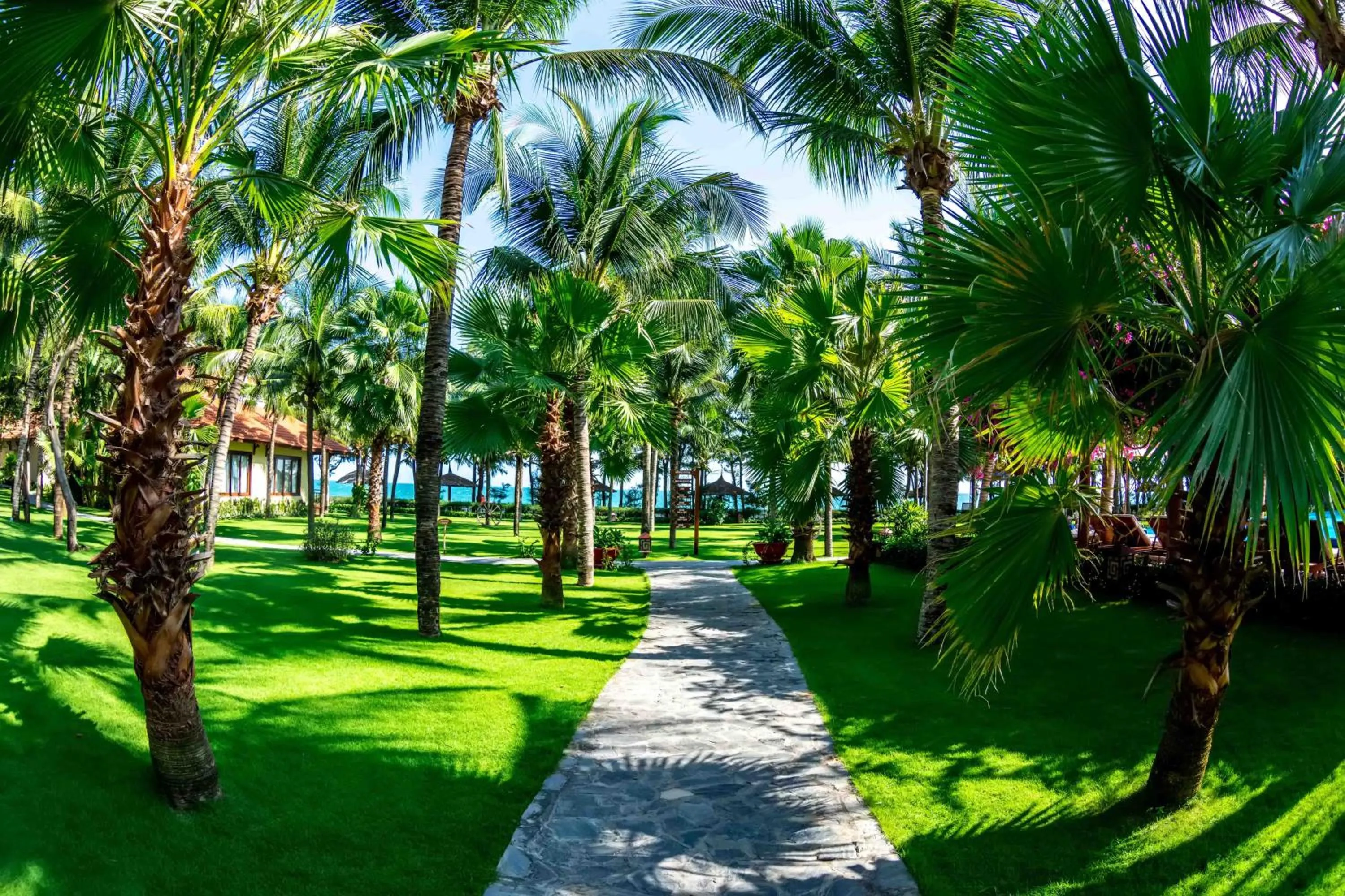 Garden in Sunny Beach Resort & Spa Mui Ne
