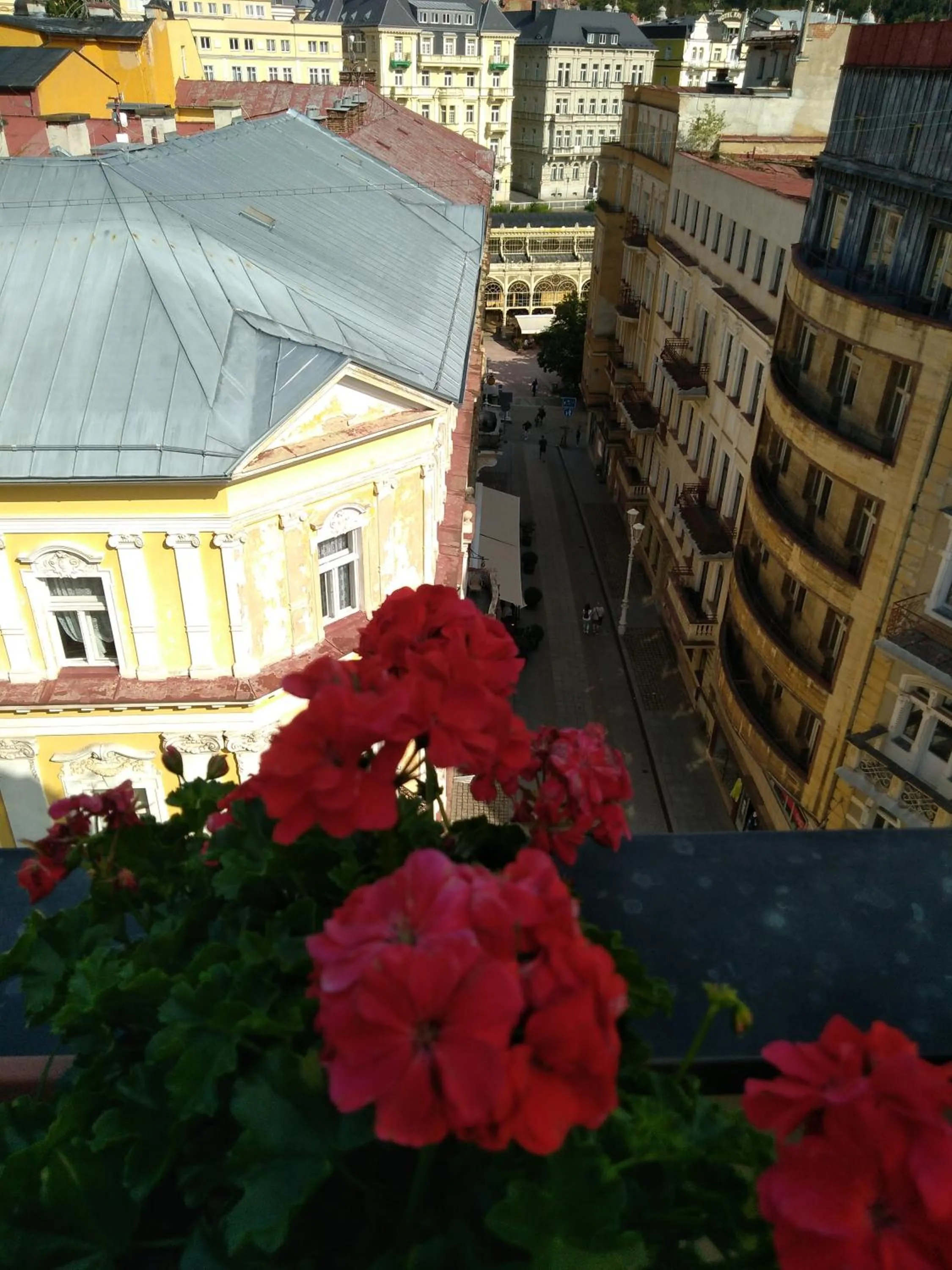 Balcony/Terrace in Hotel Flora