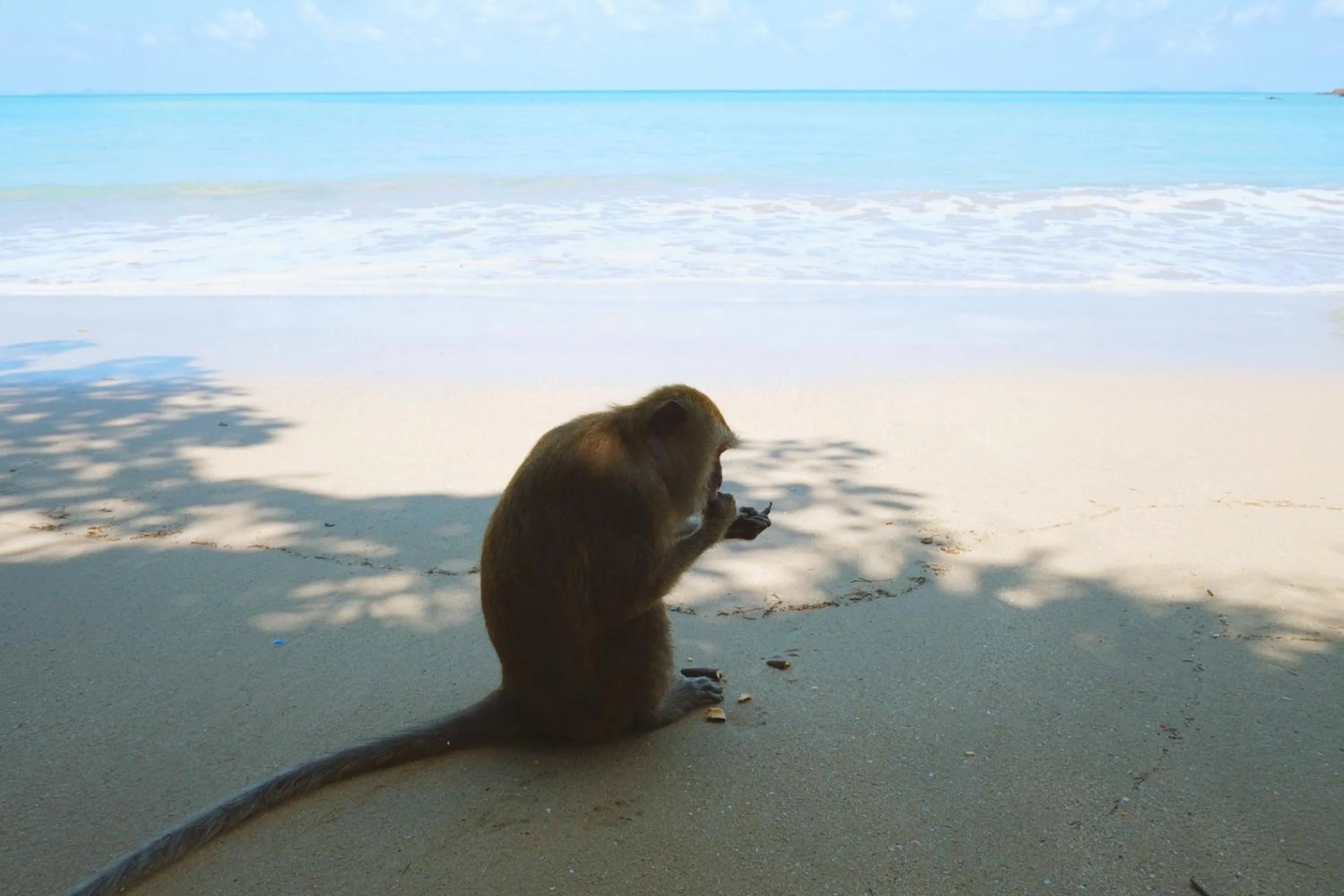 Beach in Lanta Mermaid Boutique House