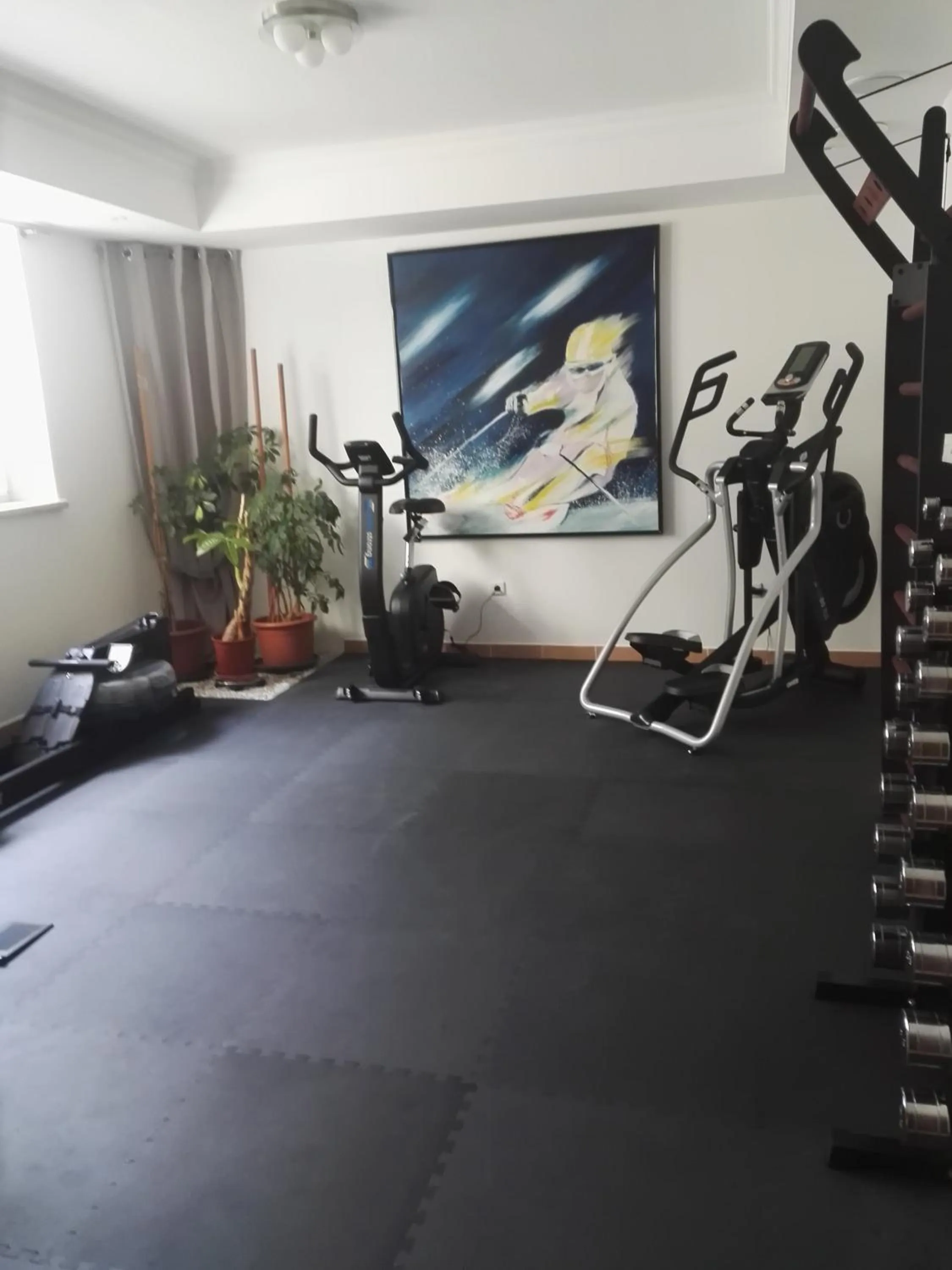 Fitness centre/facilities in Raffl's Hotel