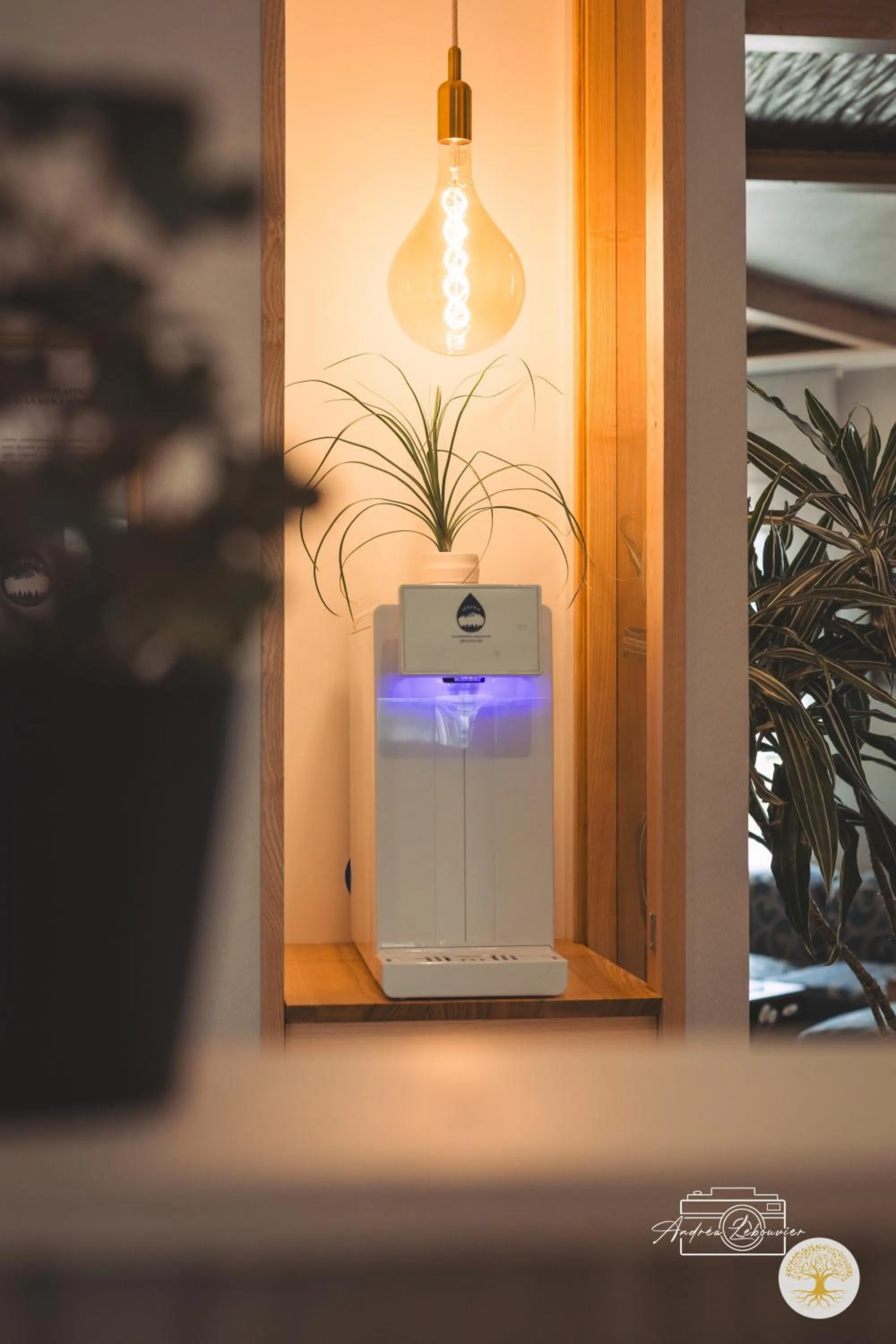 Lobby or reception in Hotel Chantereyne