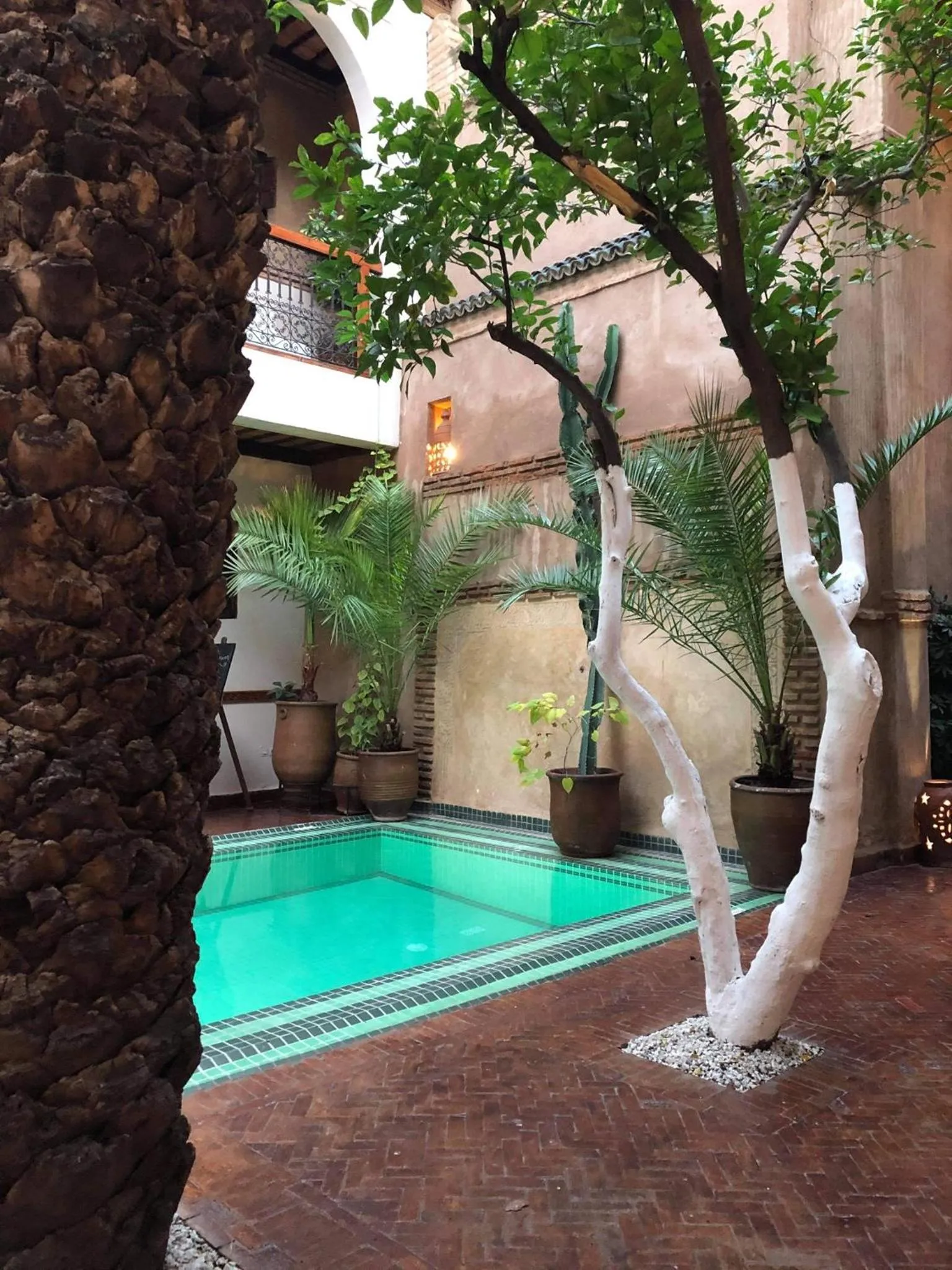 Swimming pool in Riad Palmier