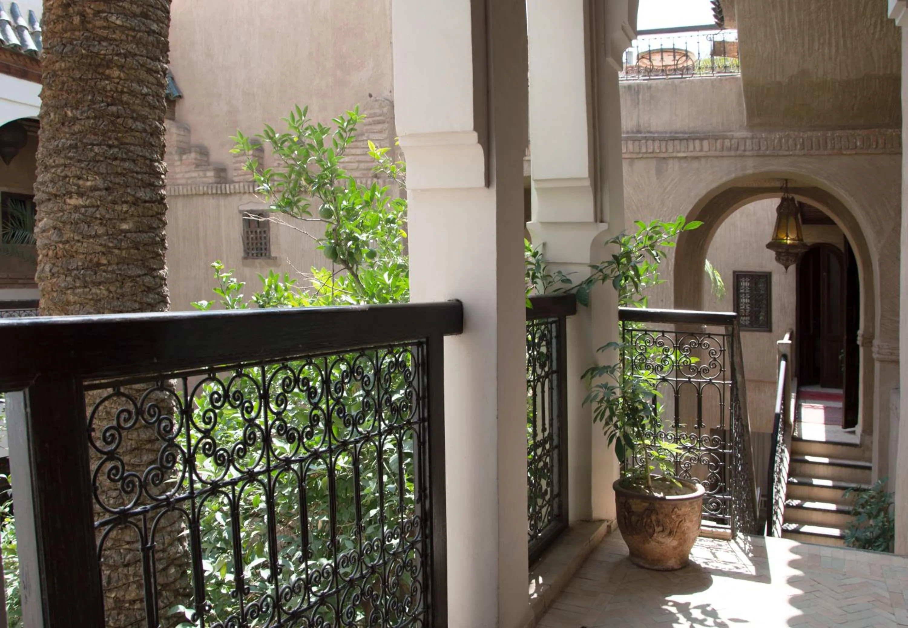 Garden view in Riad Palmier