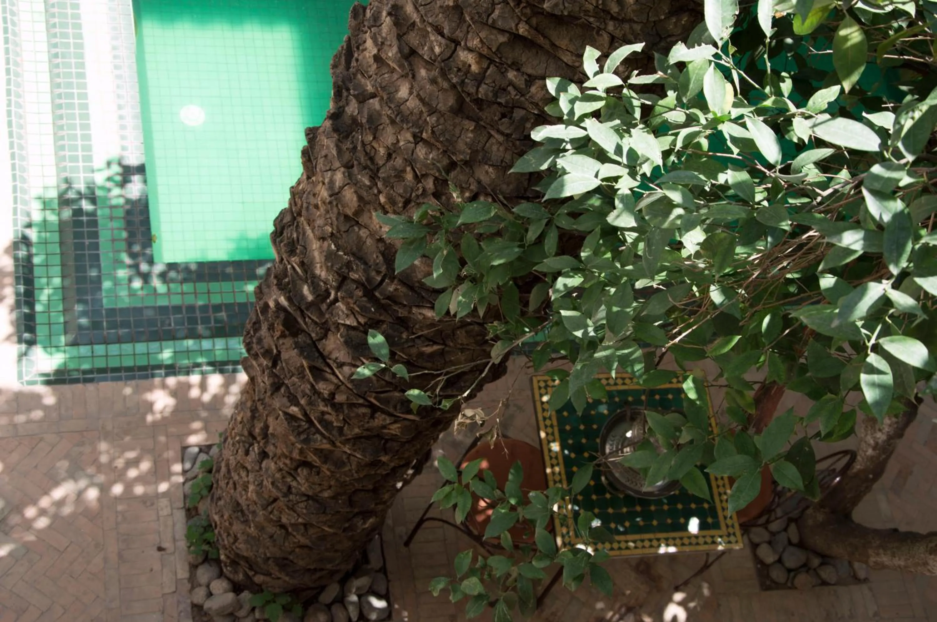 Pool view in Riad Palmier