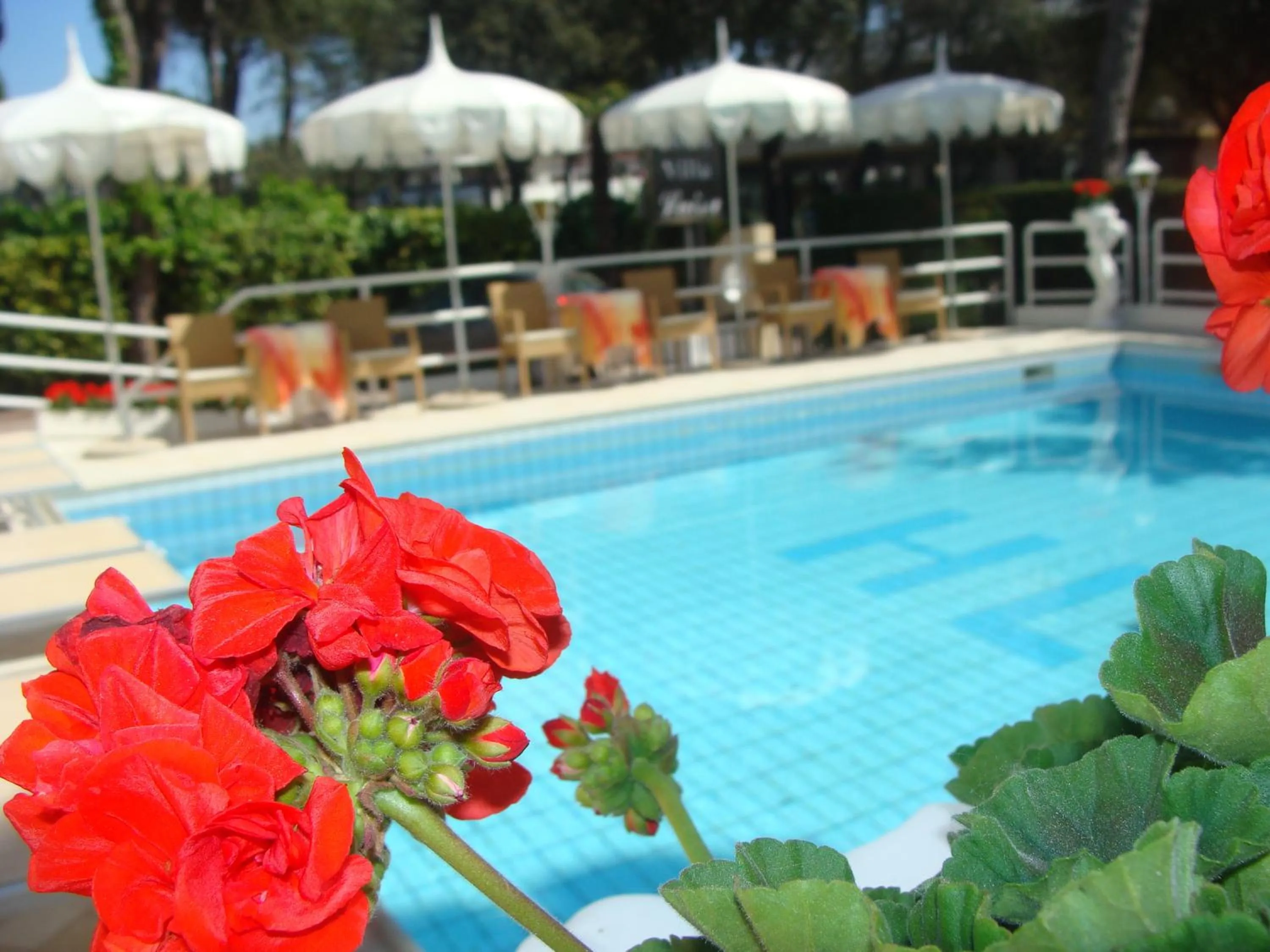 Swimming pool in Hotel Villa Luisa