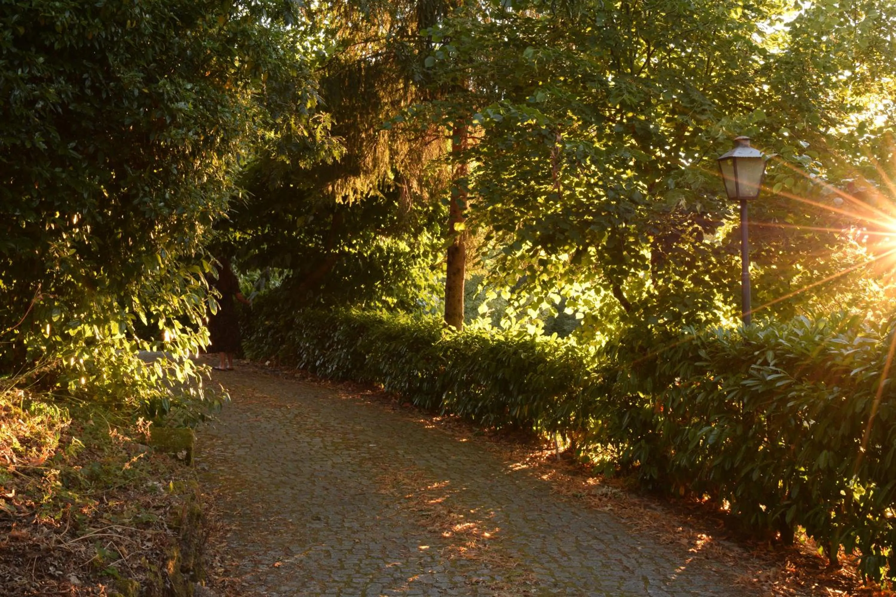 Garden view in Quinta Do Crestelo Aparthotel