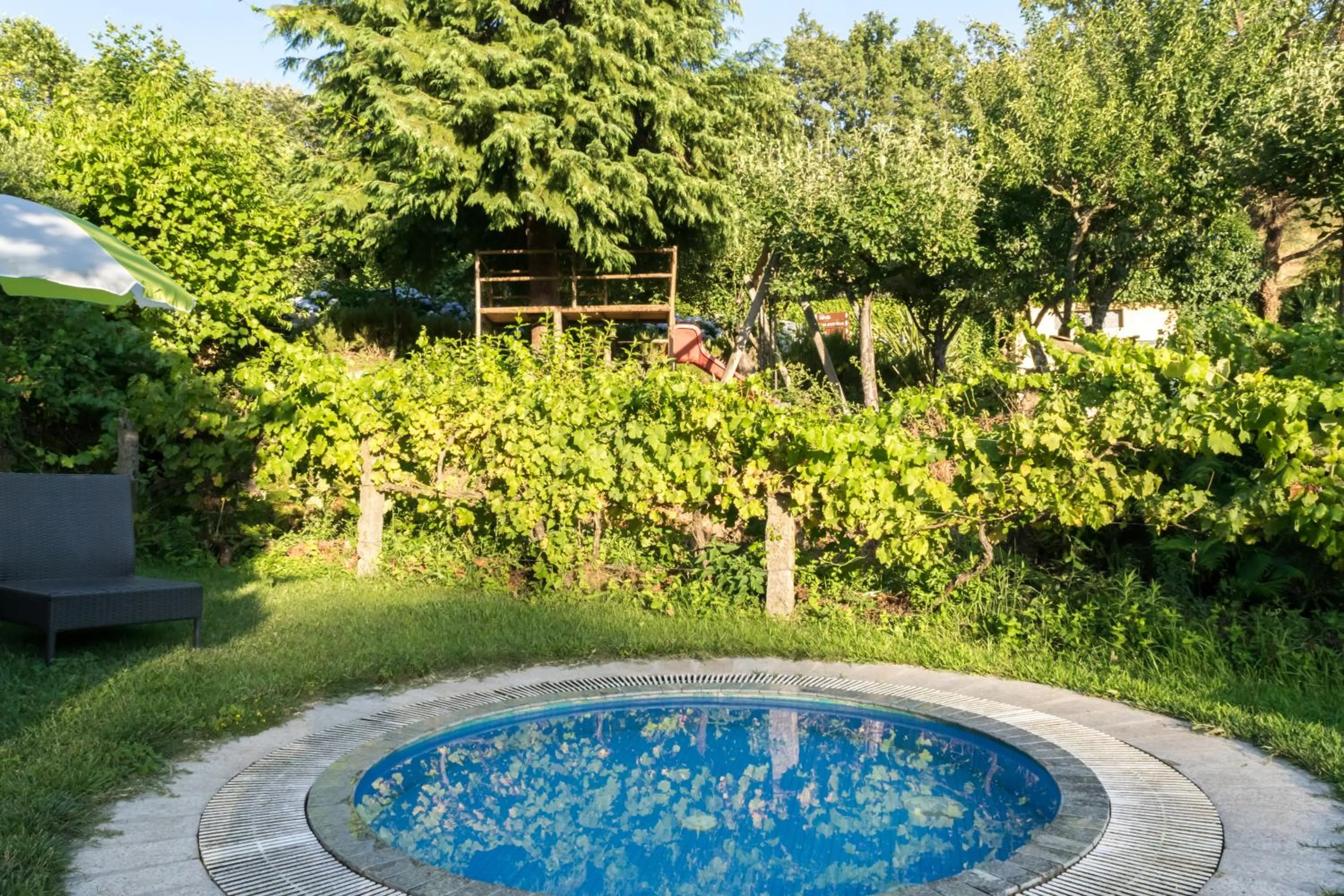 Day in Quinta Do Crestelo Aparthotel