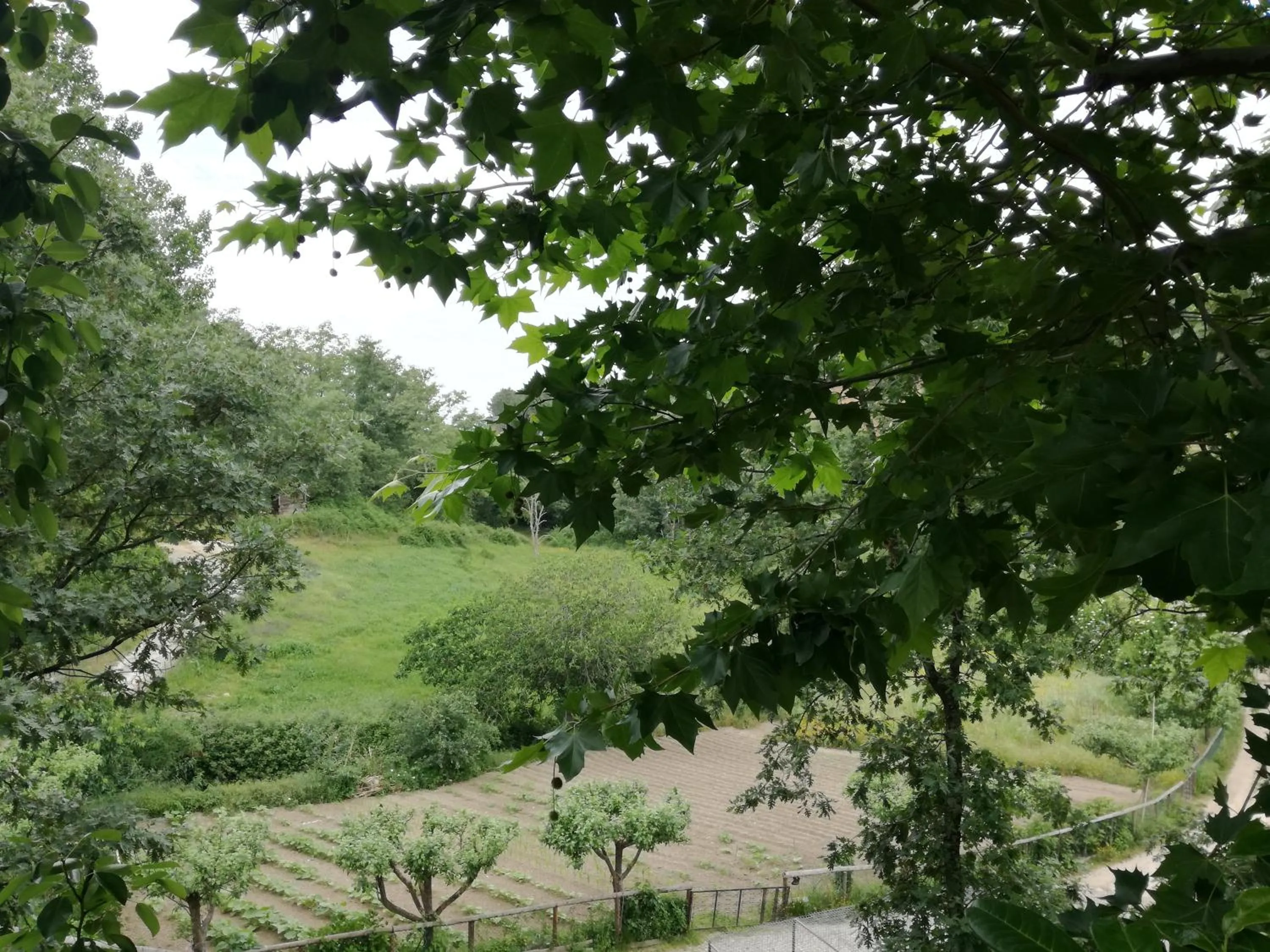 Other in Quinta Do Crestelo Aparthotel