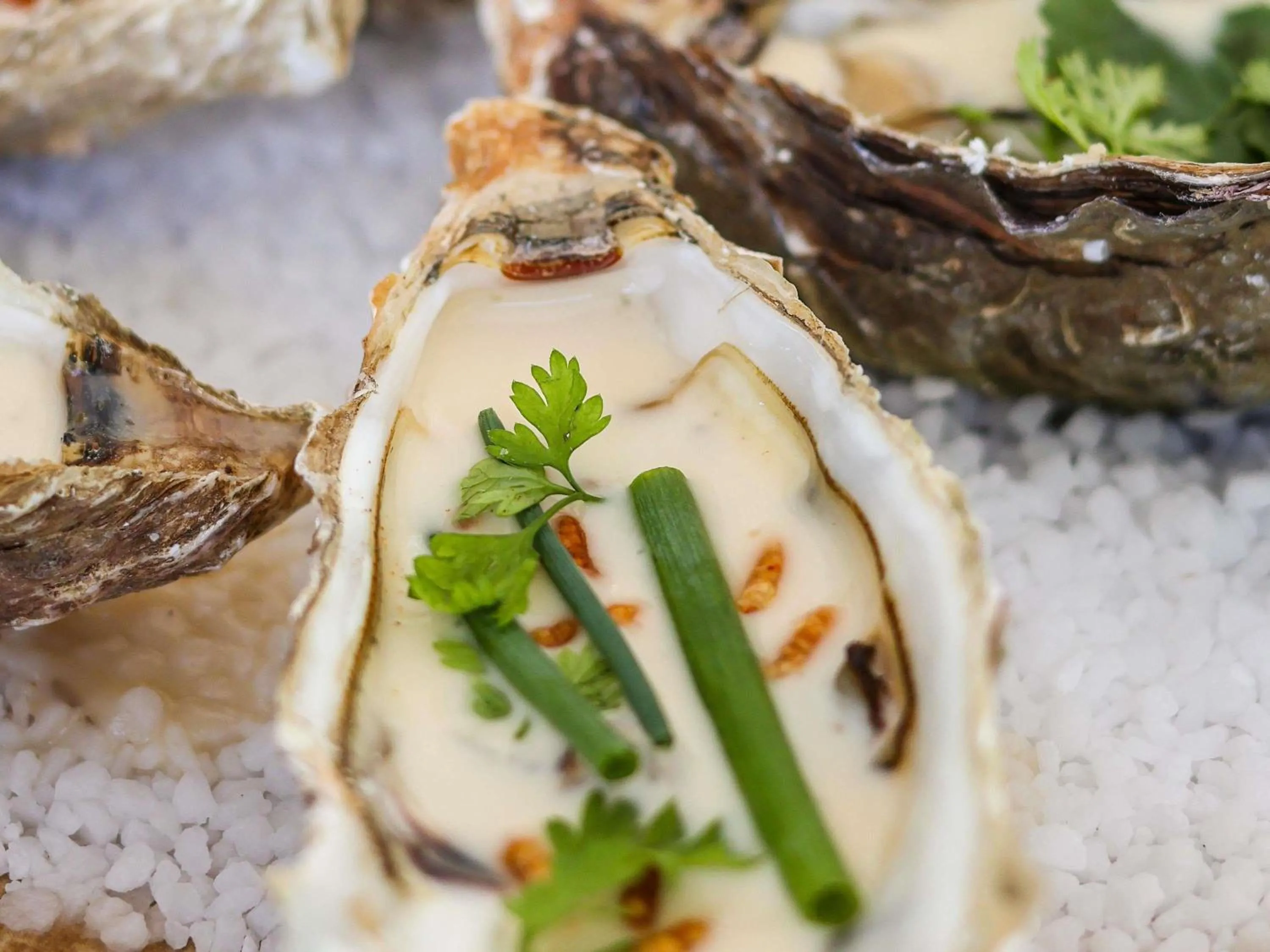 Restaurant/places to eat in Hôtel Mercure Rochefort La Corderie Royale