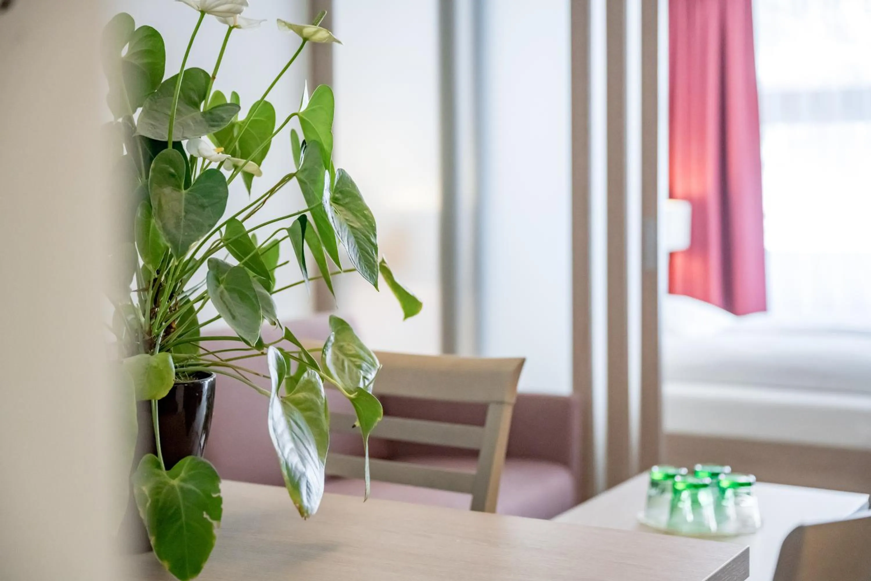 Living room, Bed in all inclusive Hotel Lohmann