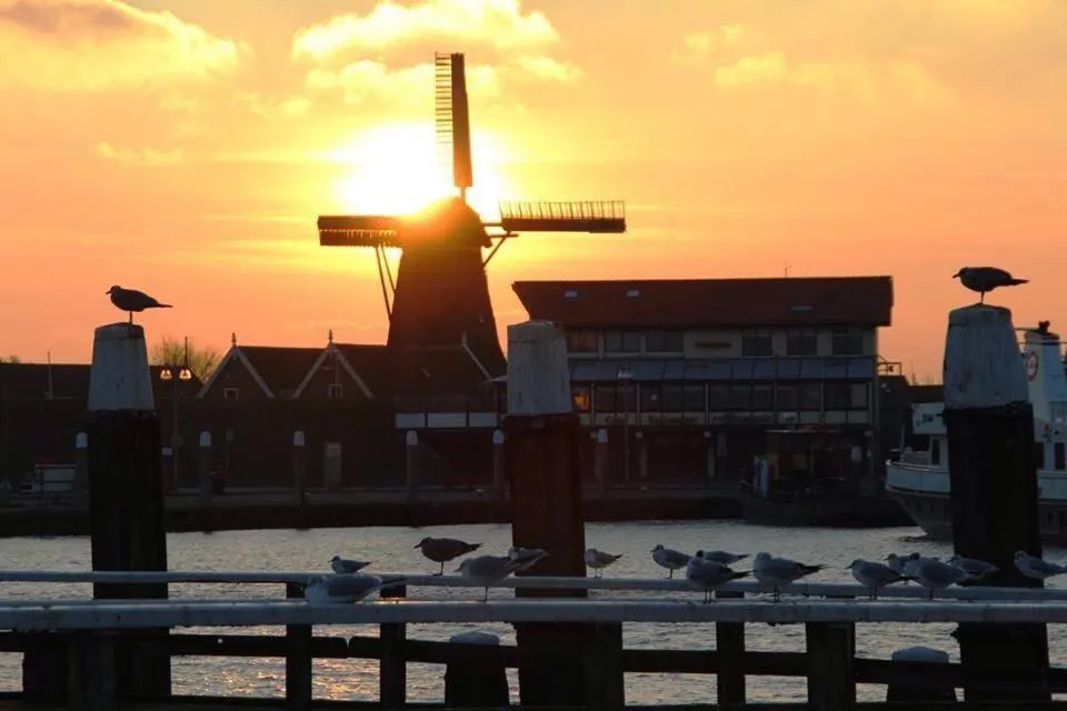 Hotel Havenzicht Texel