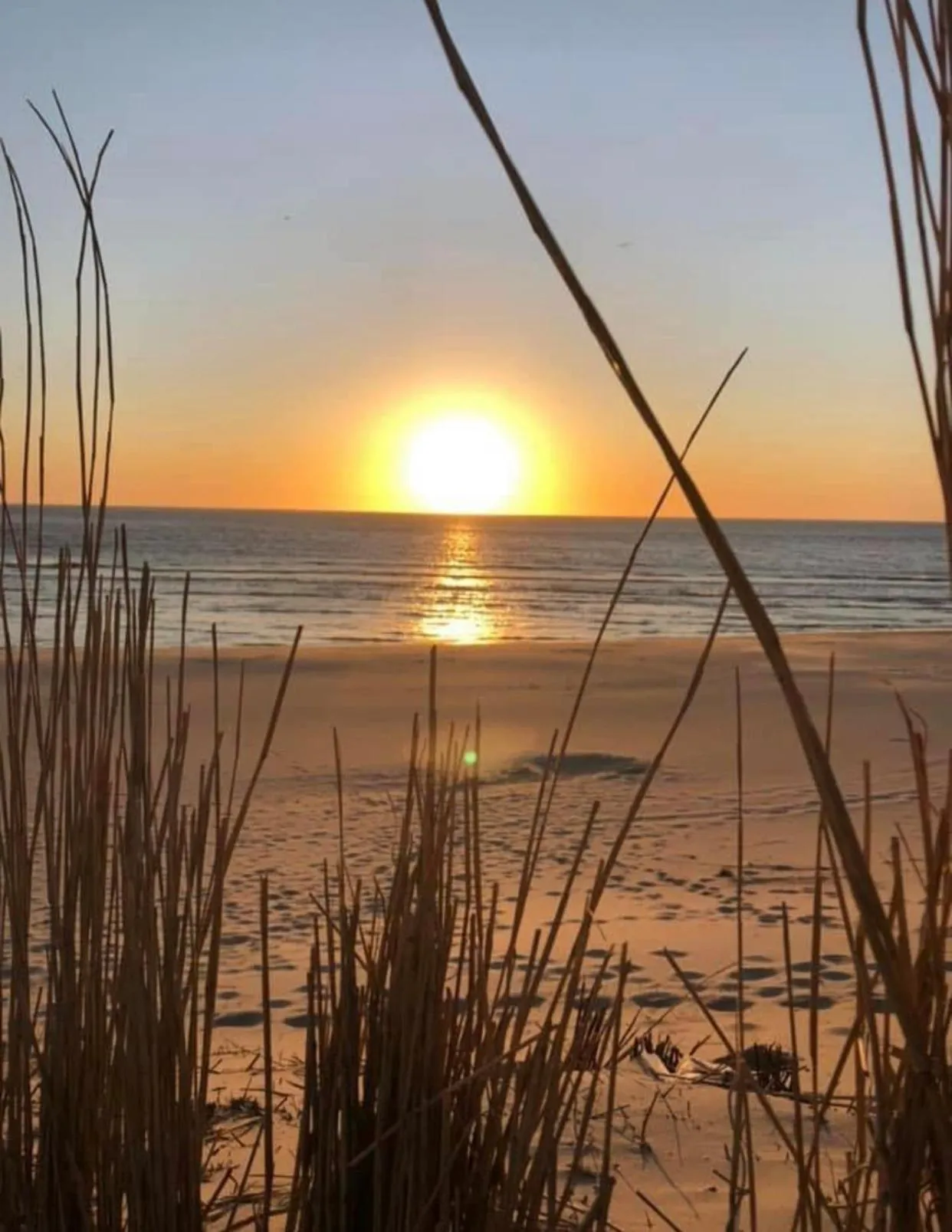 Hotel Havenzicht Texel