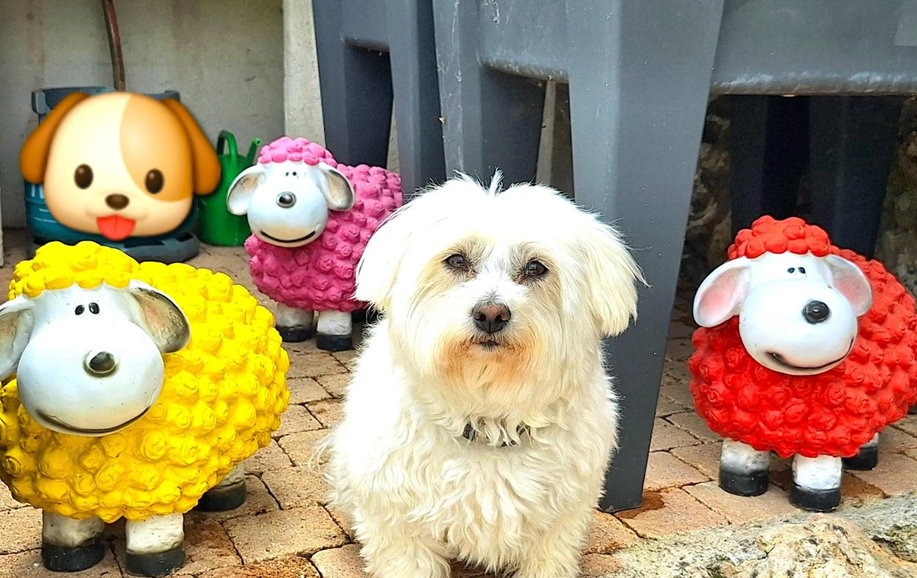 Pets in La Bergerie Du Moulin