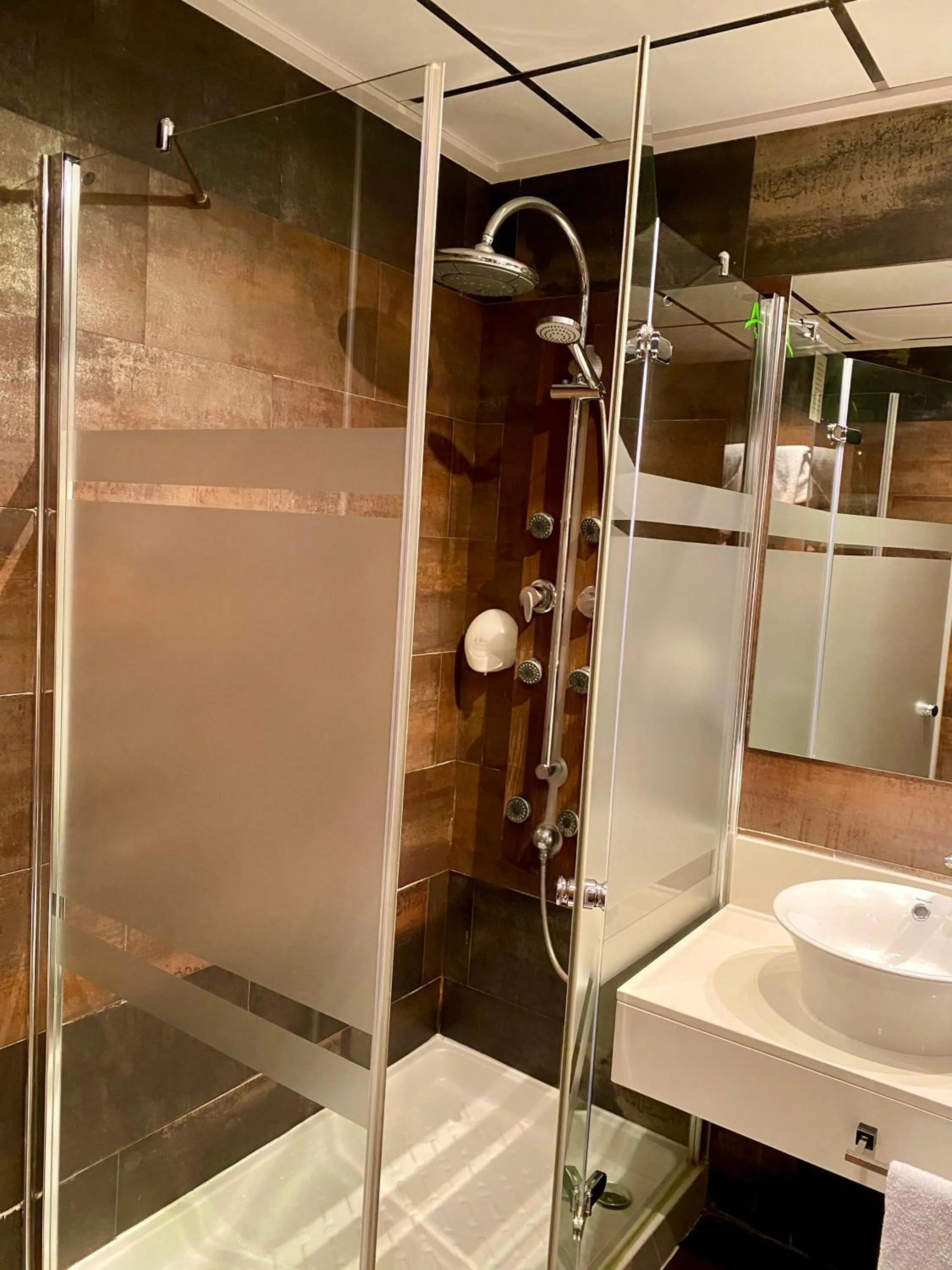 Shower in Hospedium Hotel Los Periquitos