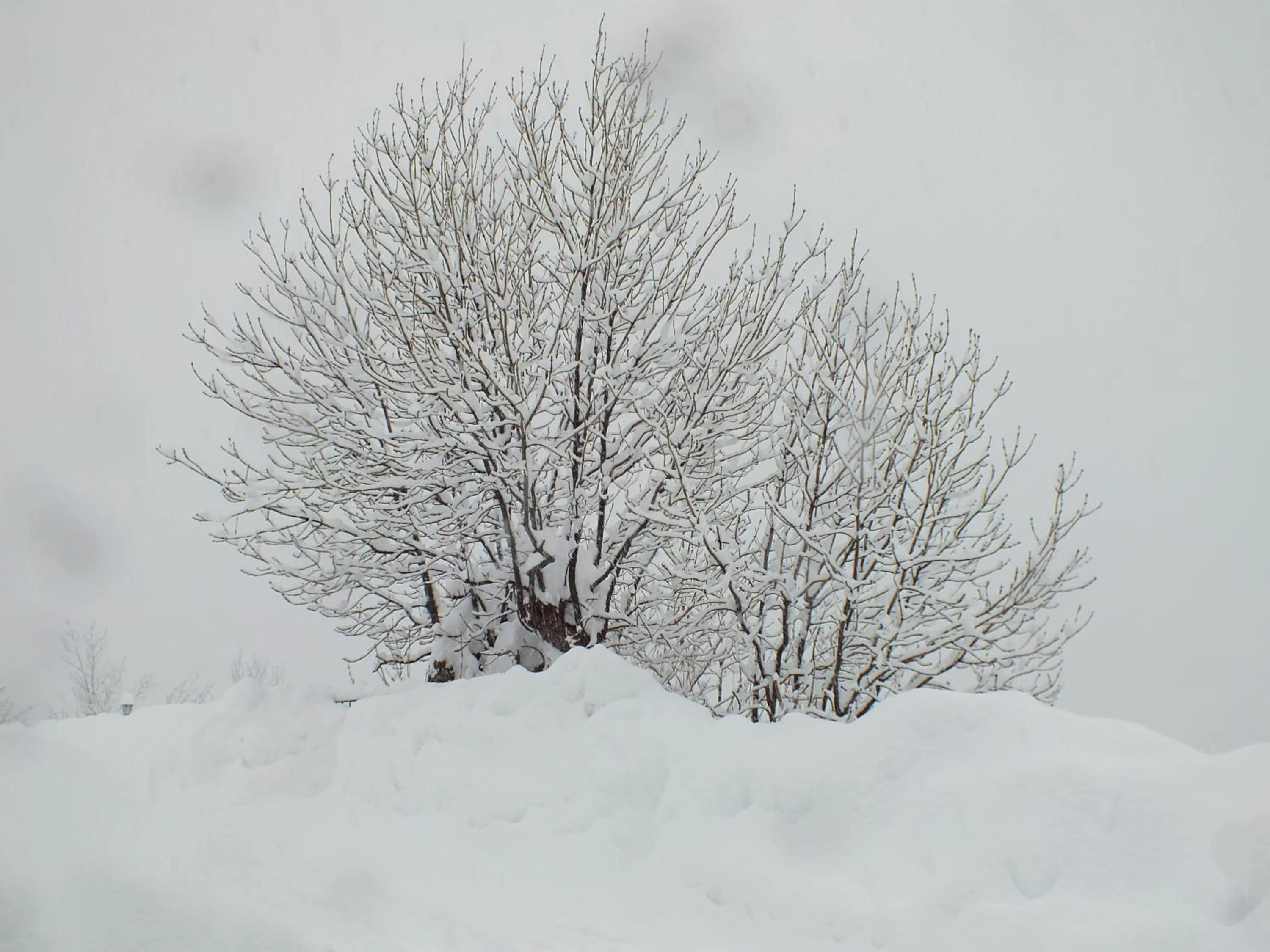 Natural landscape in Hotel Areulo