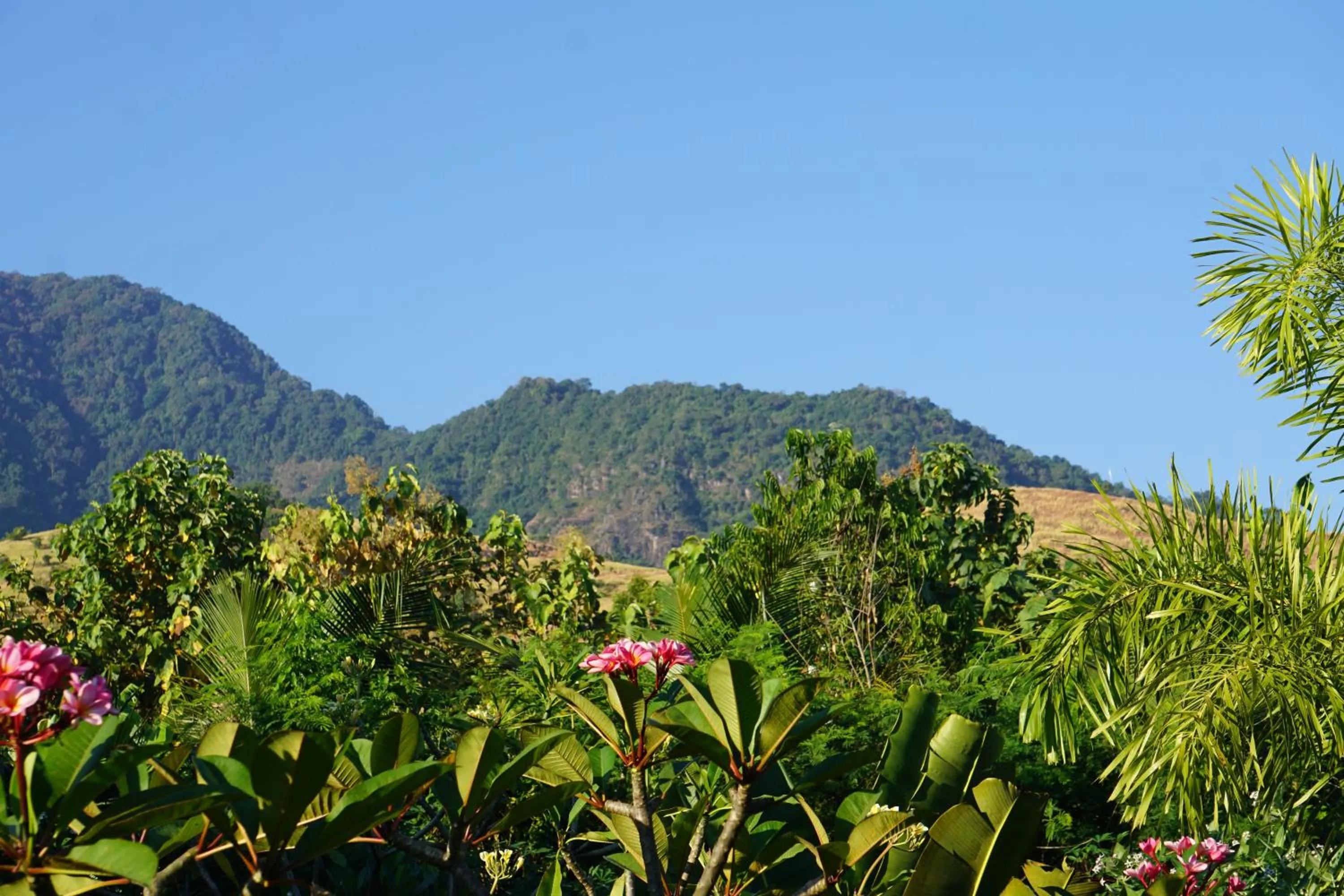Natural landscape in TEGAL SARI, Pemuteran- North Bali