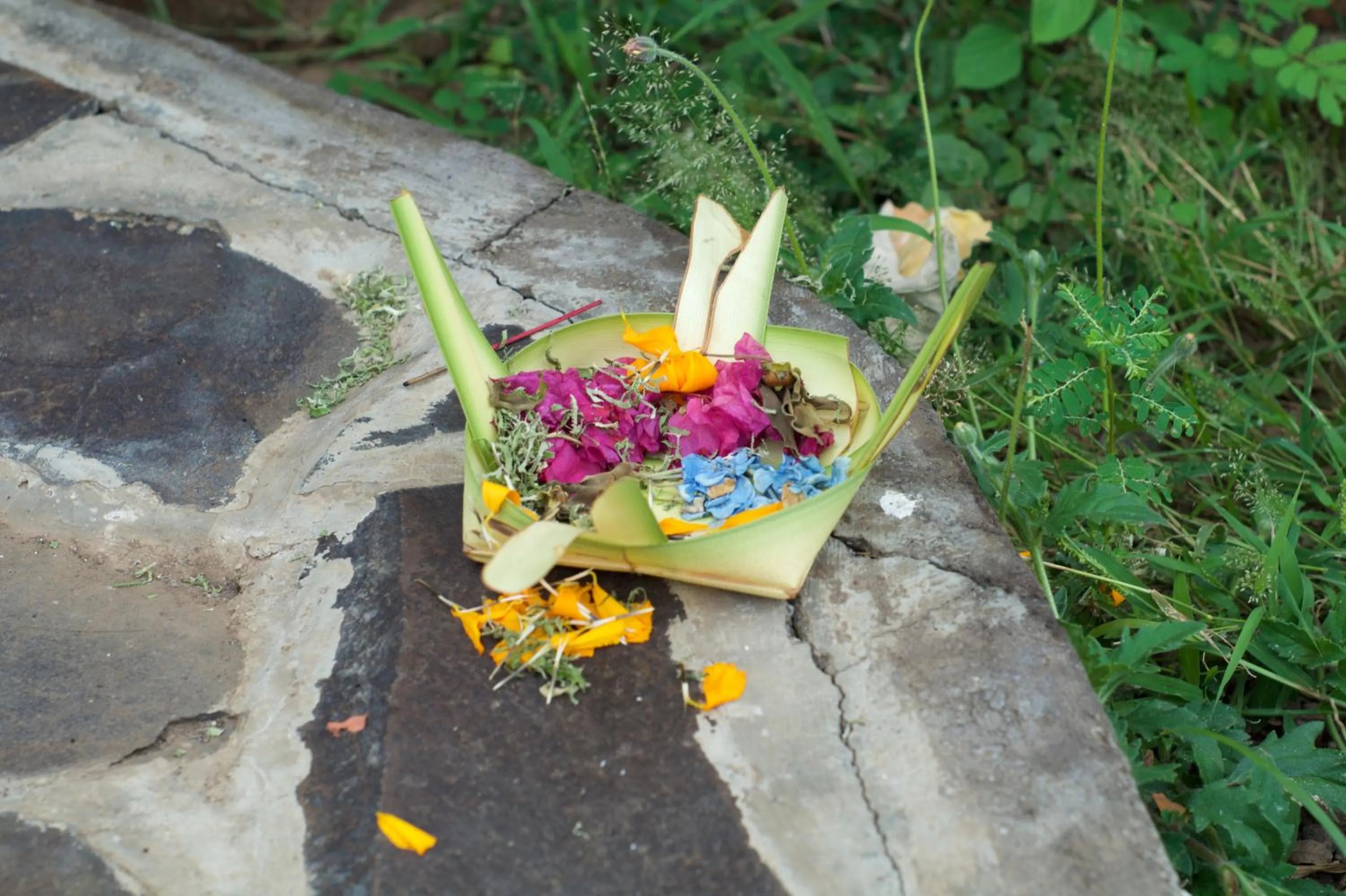 Other in TEGAL SARI, Pemuteran- North Bali