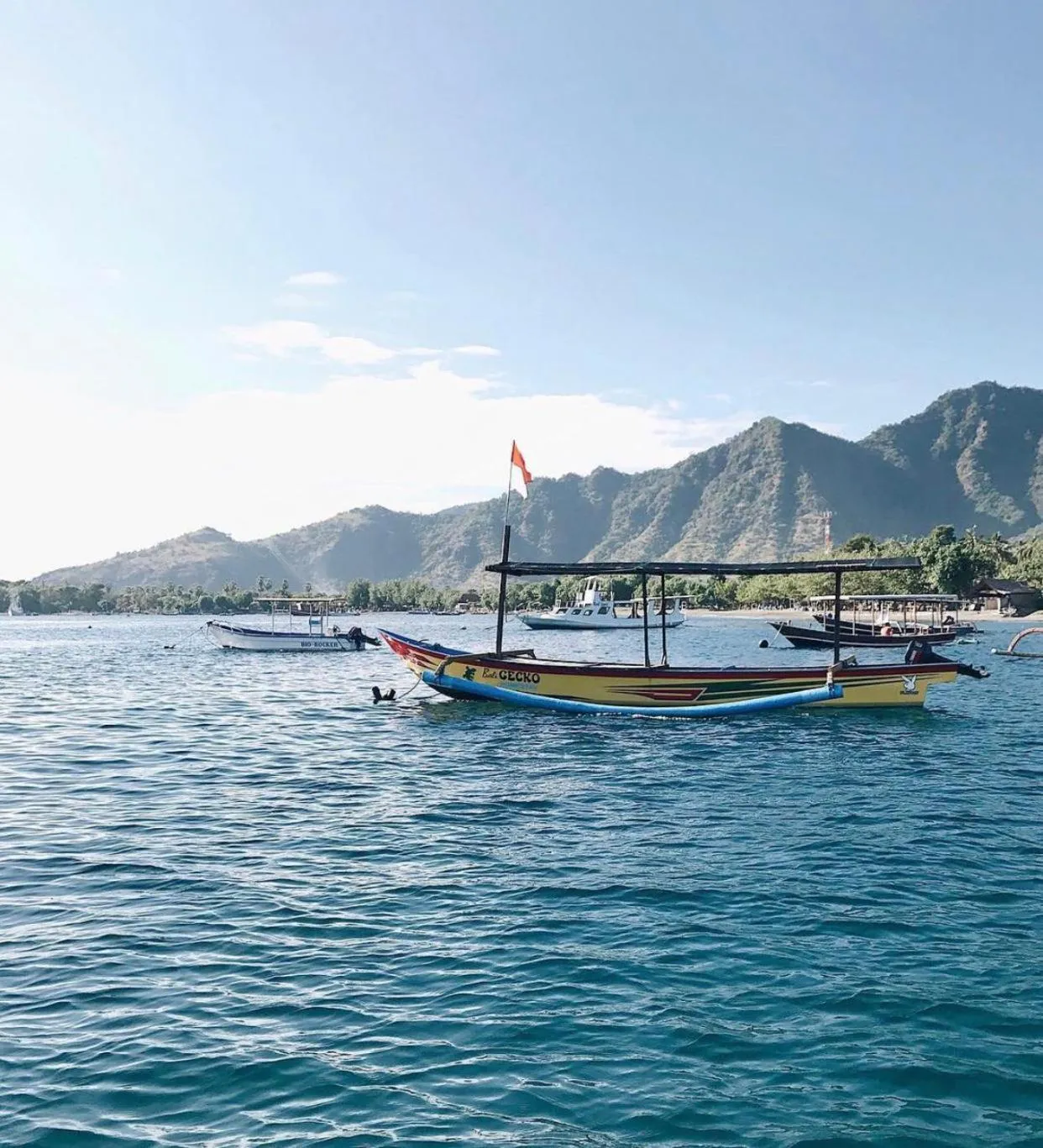 TEGAL SARI, Pemuteran- North Bali