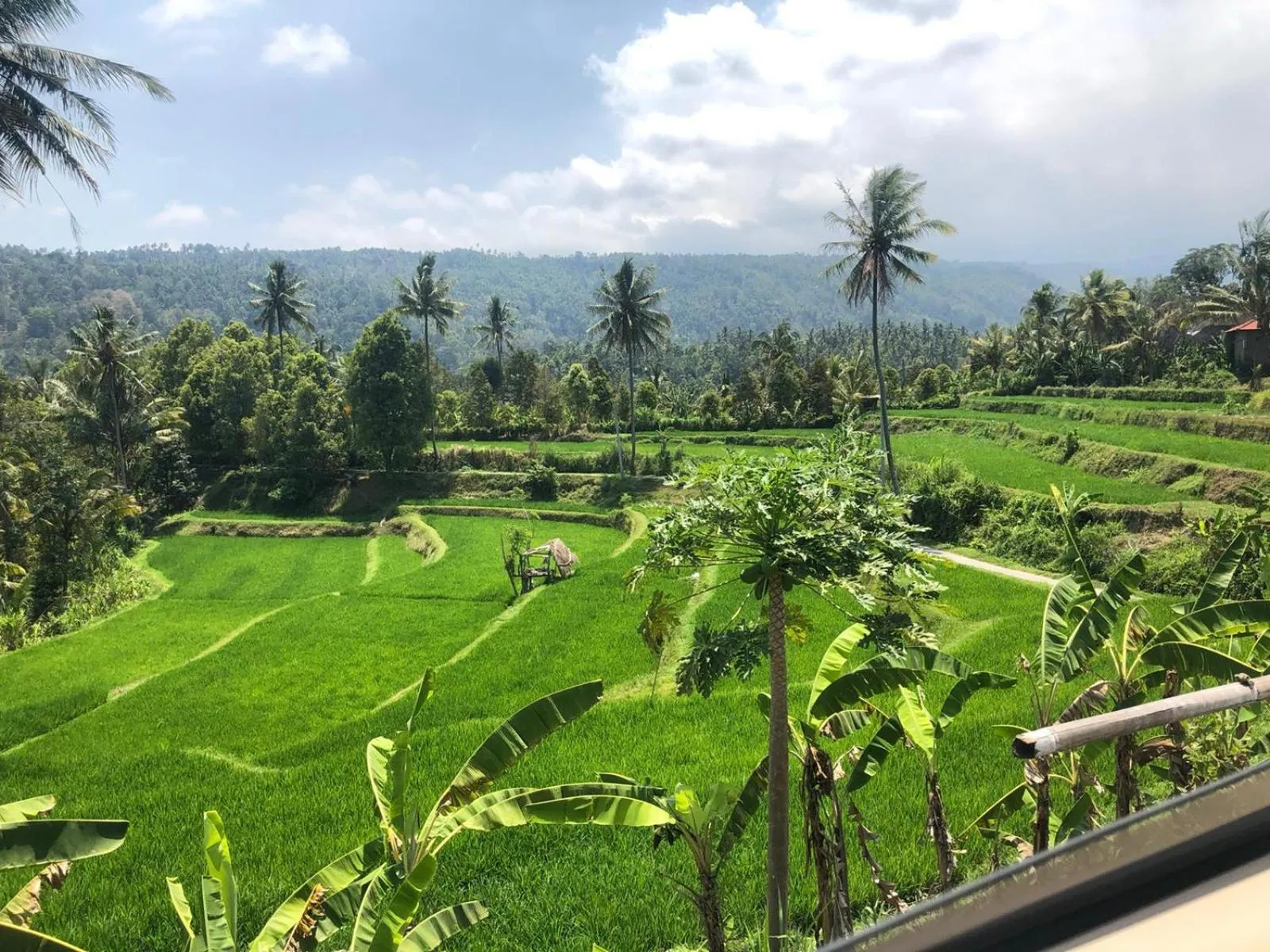Natural landscape in TEGAL SARI, Pemuteran- North Bali