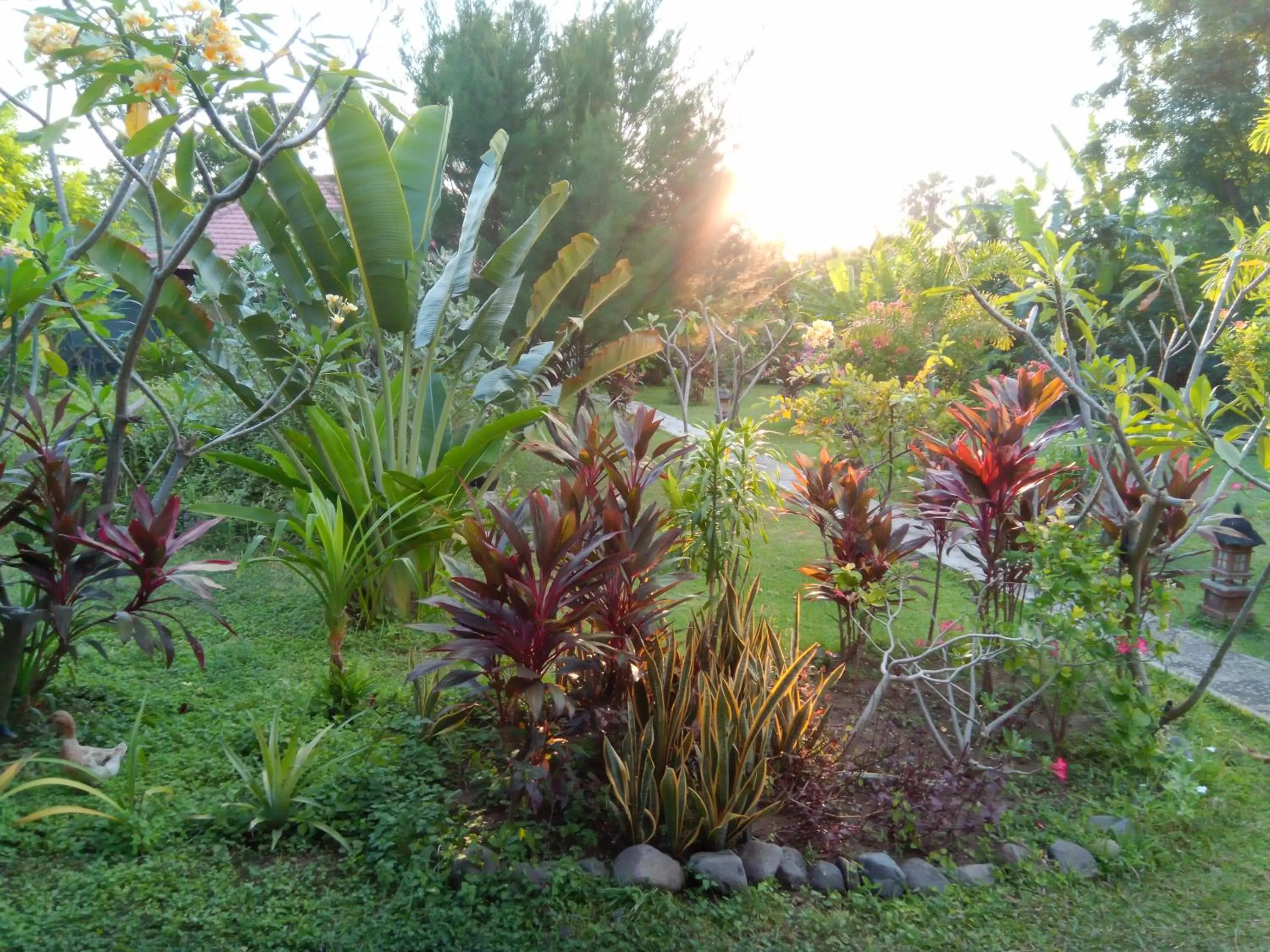 Garden view in TEGAL SARI, Pemuteran- North Bali