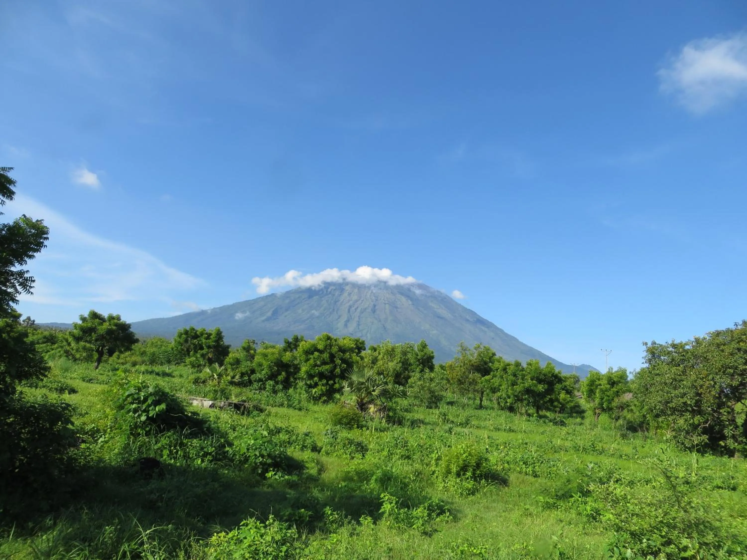 Natural landscape in TEGAL SARI, Pemuteran- North Bali
