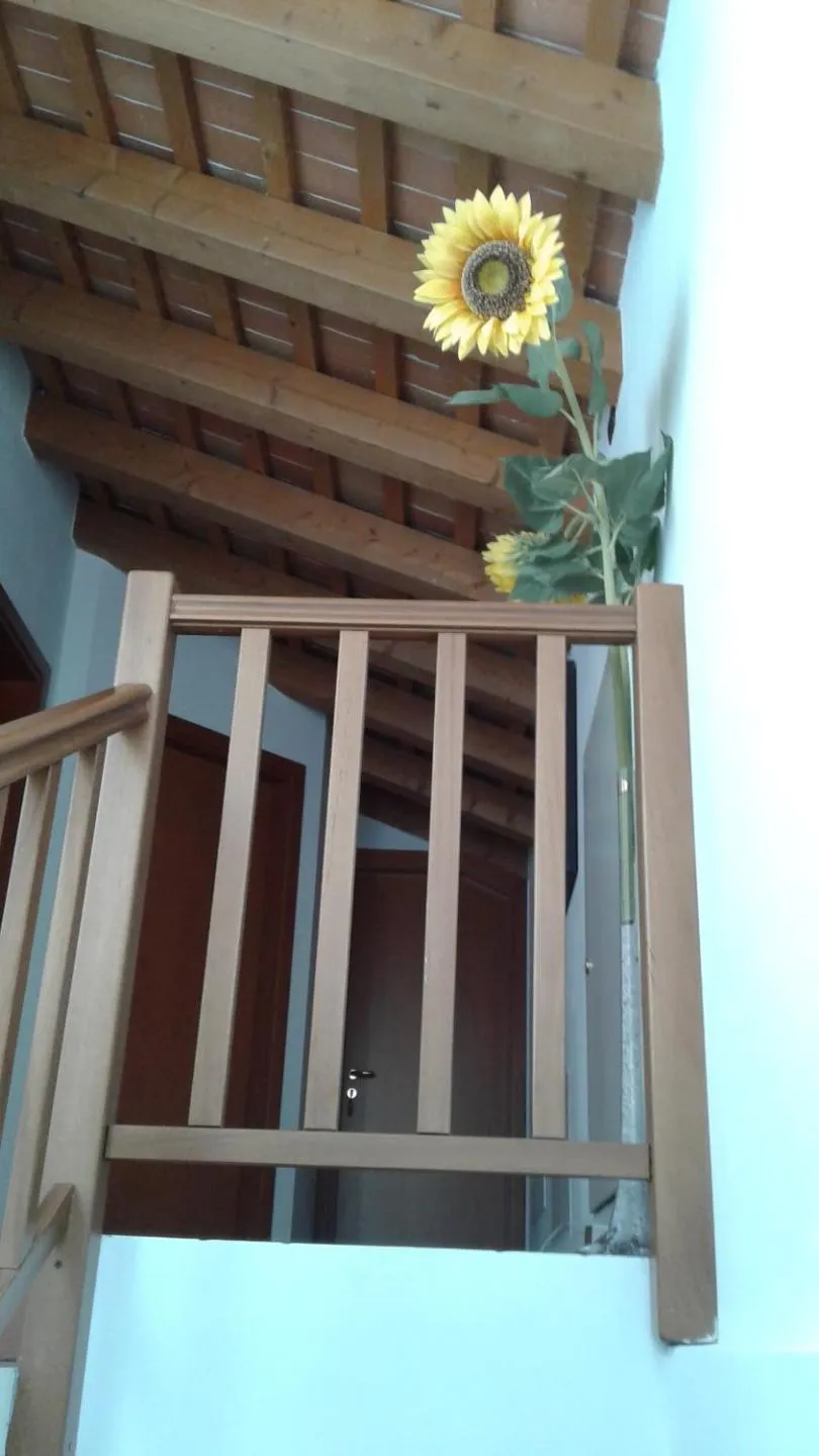 View (from property/room) in b&b Ergira