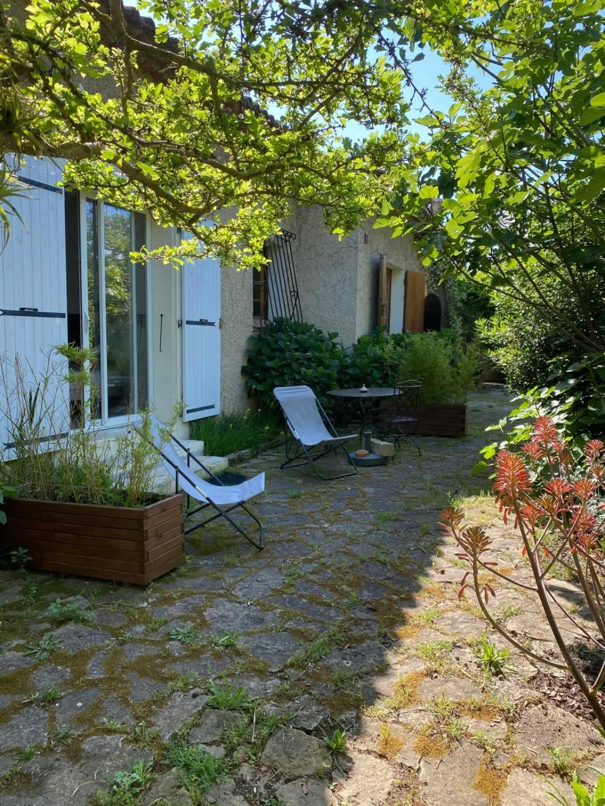 Garden in Villa Roka