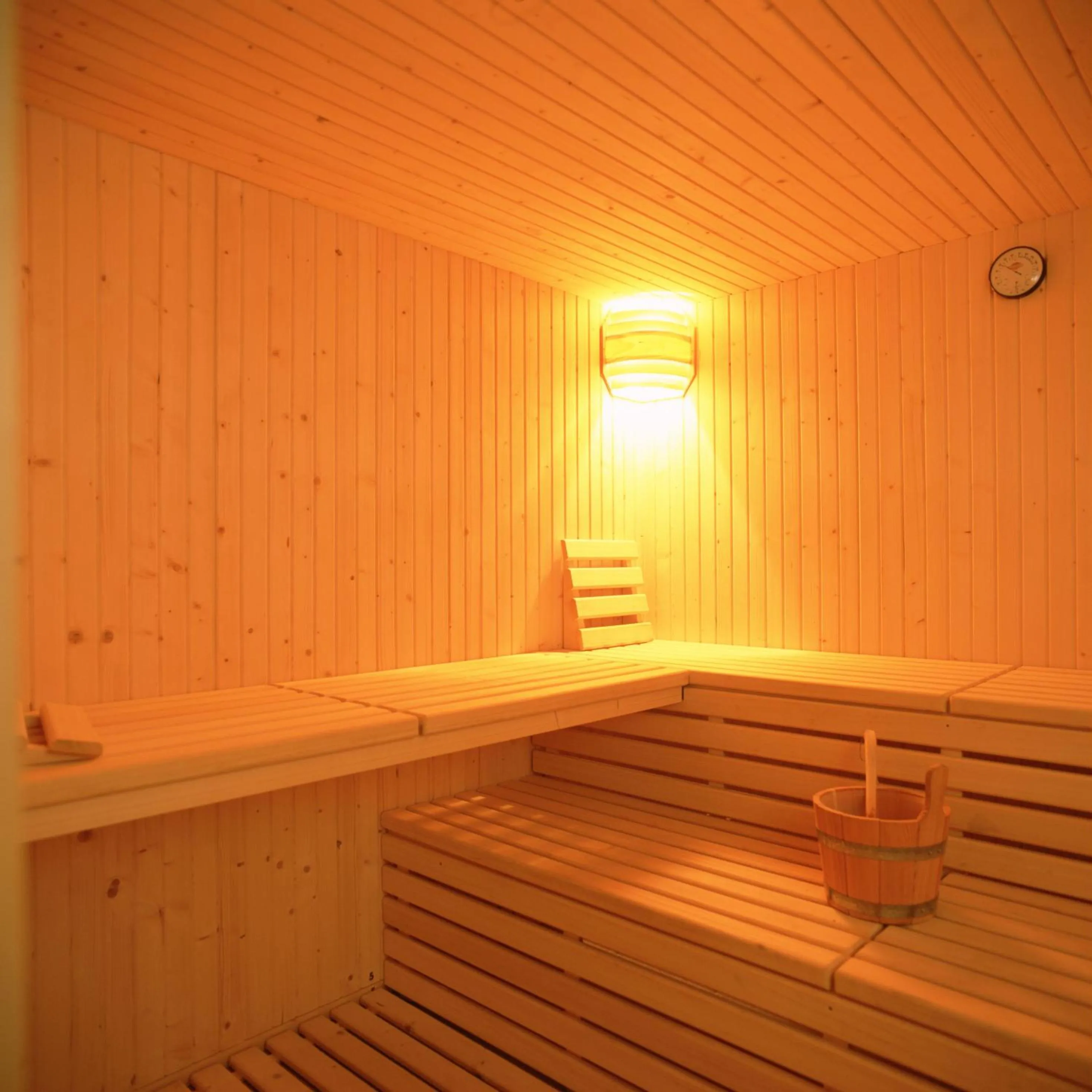 Sauna in Hotel & Restaurante Peña