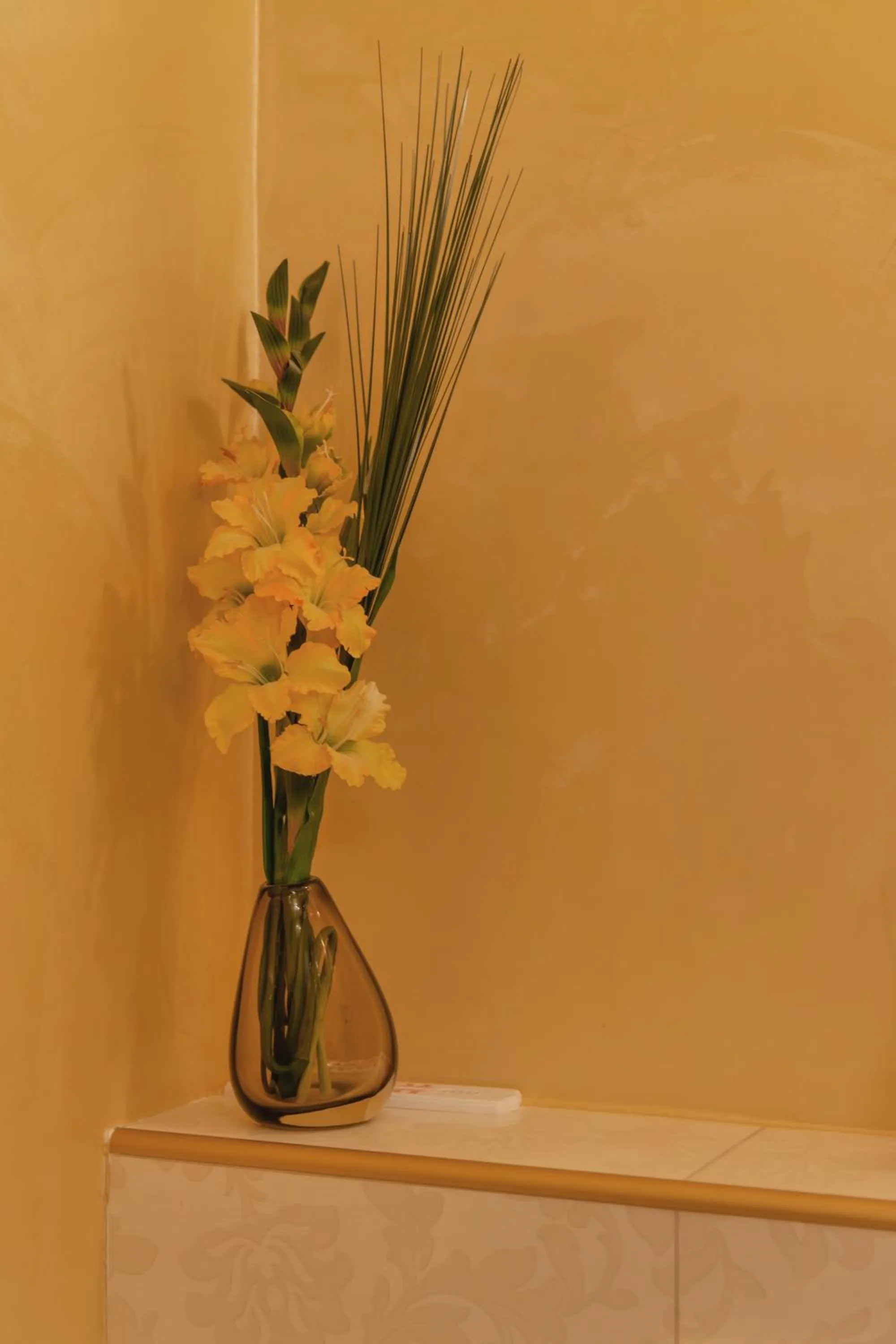 Bella & Stella rooms