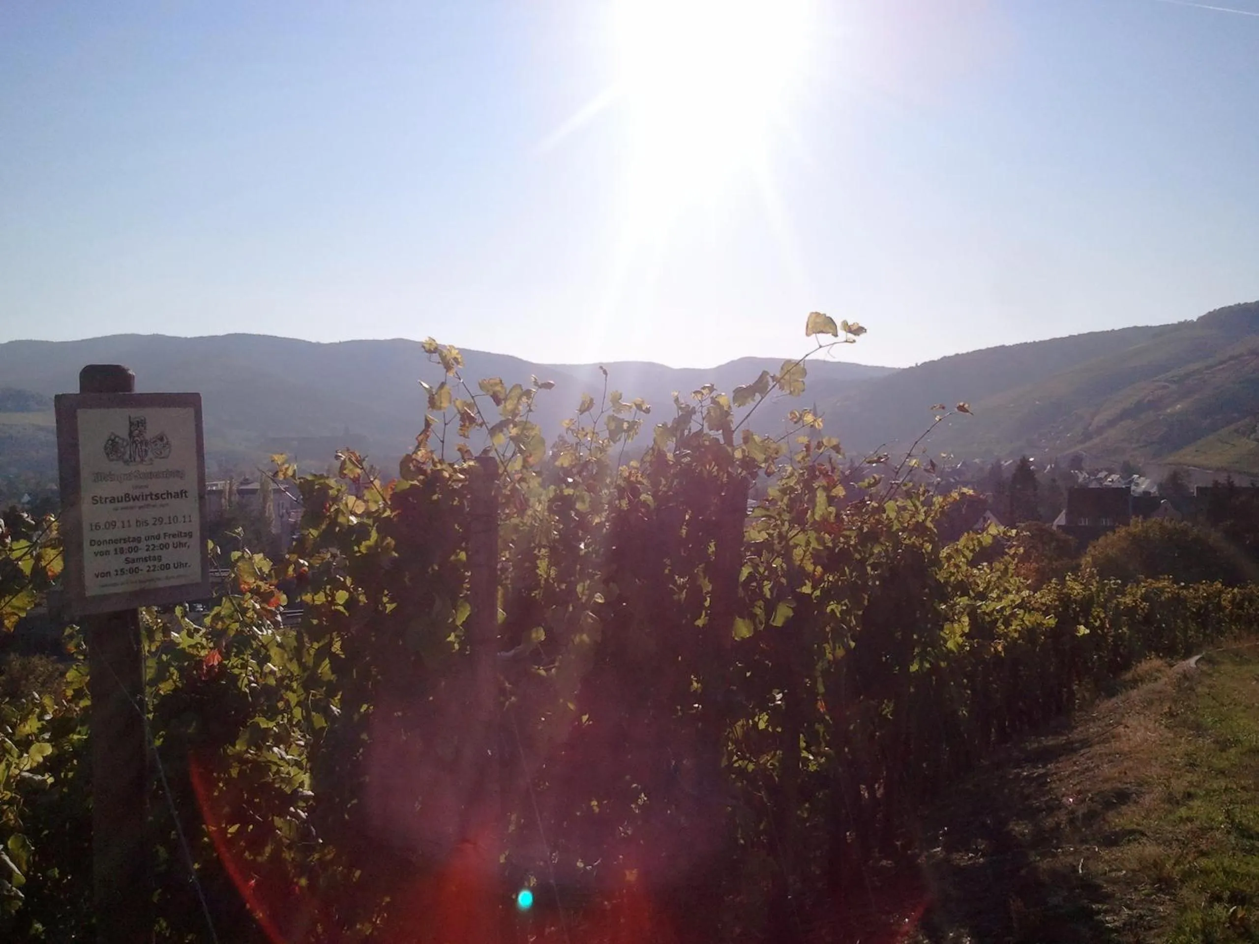 Natural landscape in Aparthotel am Kurpark