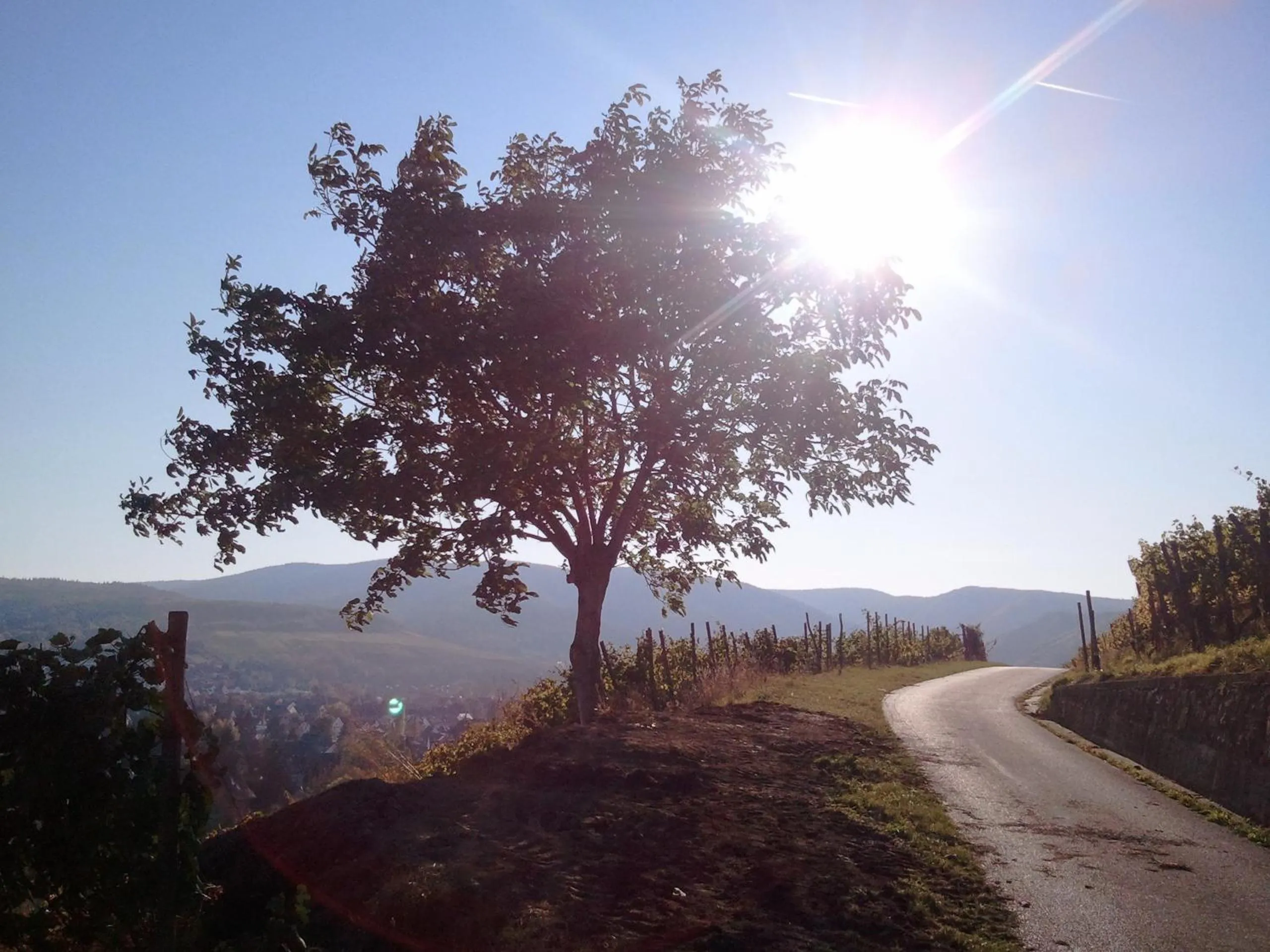 Natural landscape in Aparthotel am Kurpark