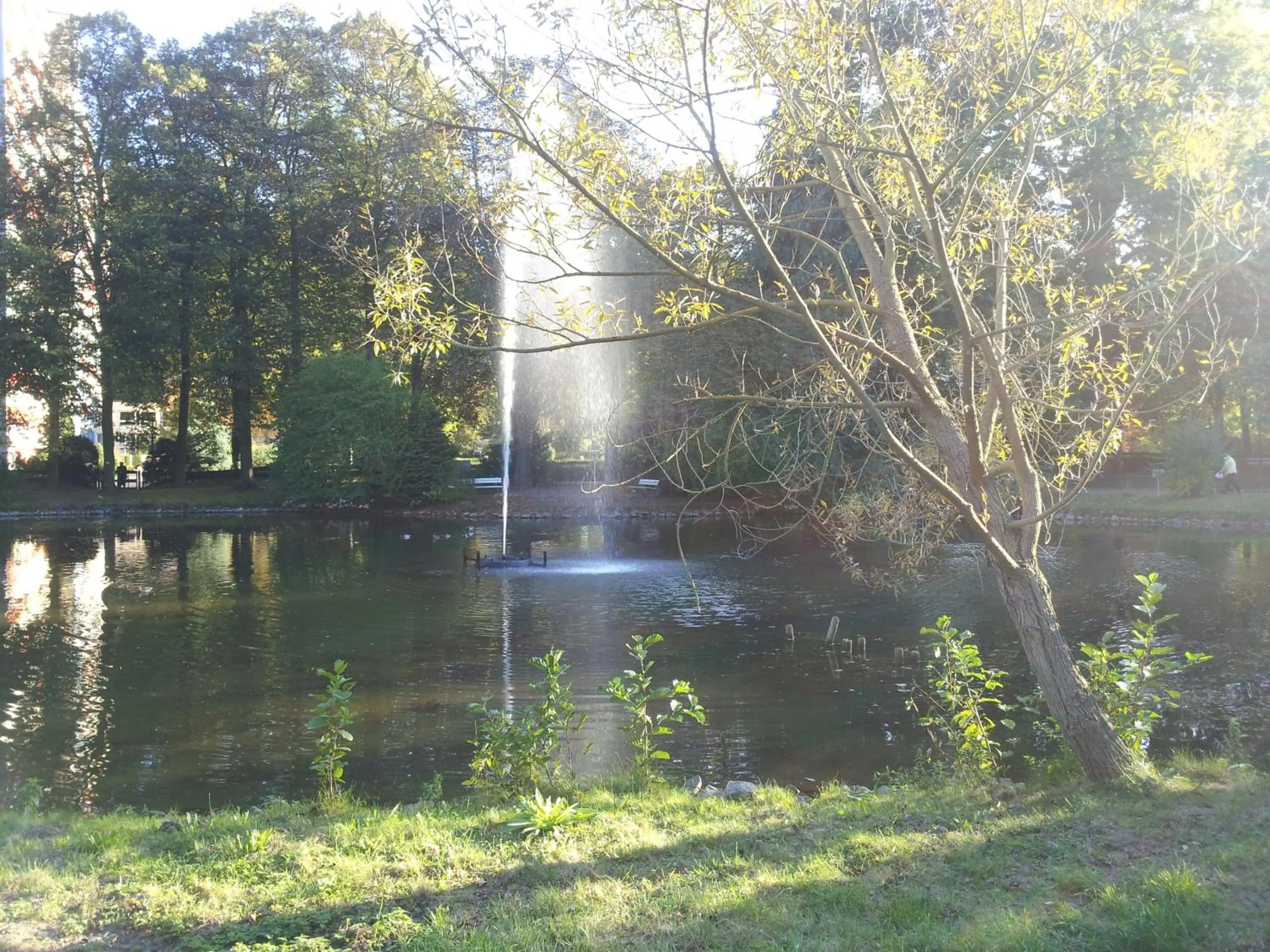 Natural landscape in Aparthotel am Kurpark