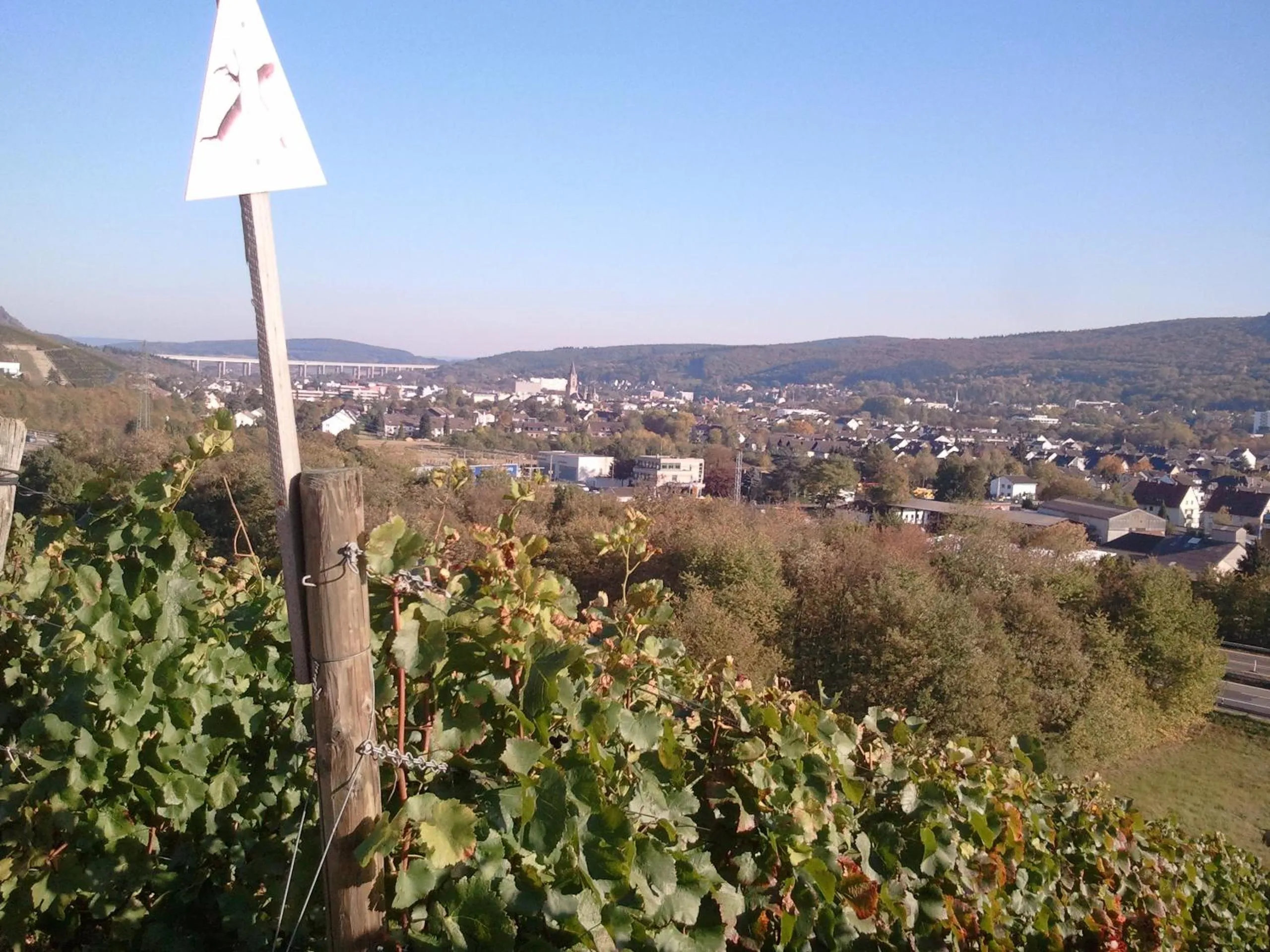 Mountain view in Aparthotel am Kurpark