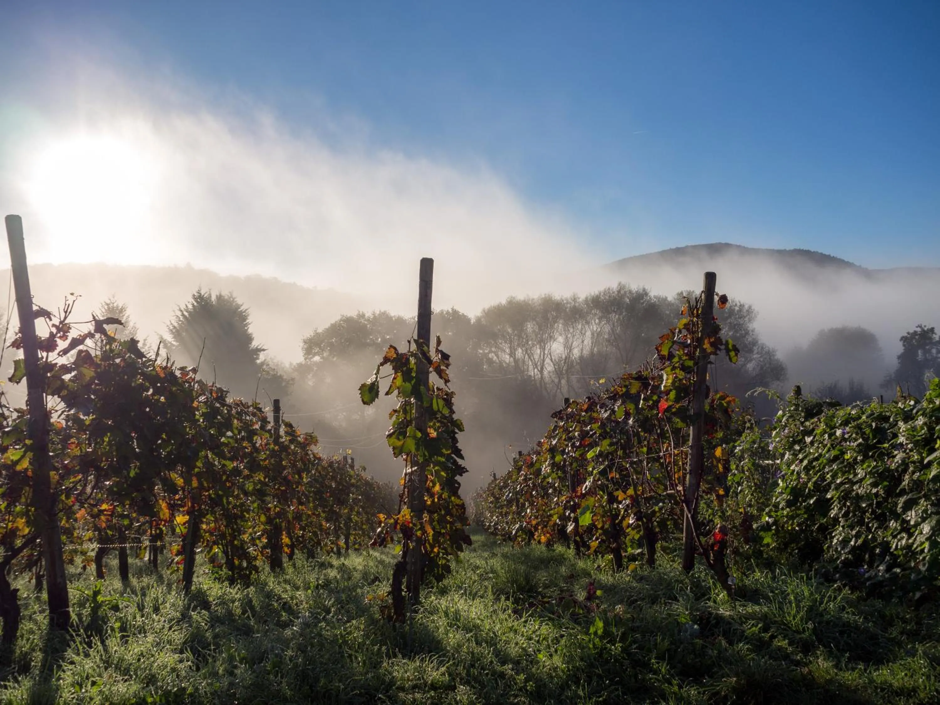 Natural landscape in Aparthotel am Kurpark
