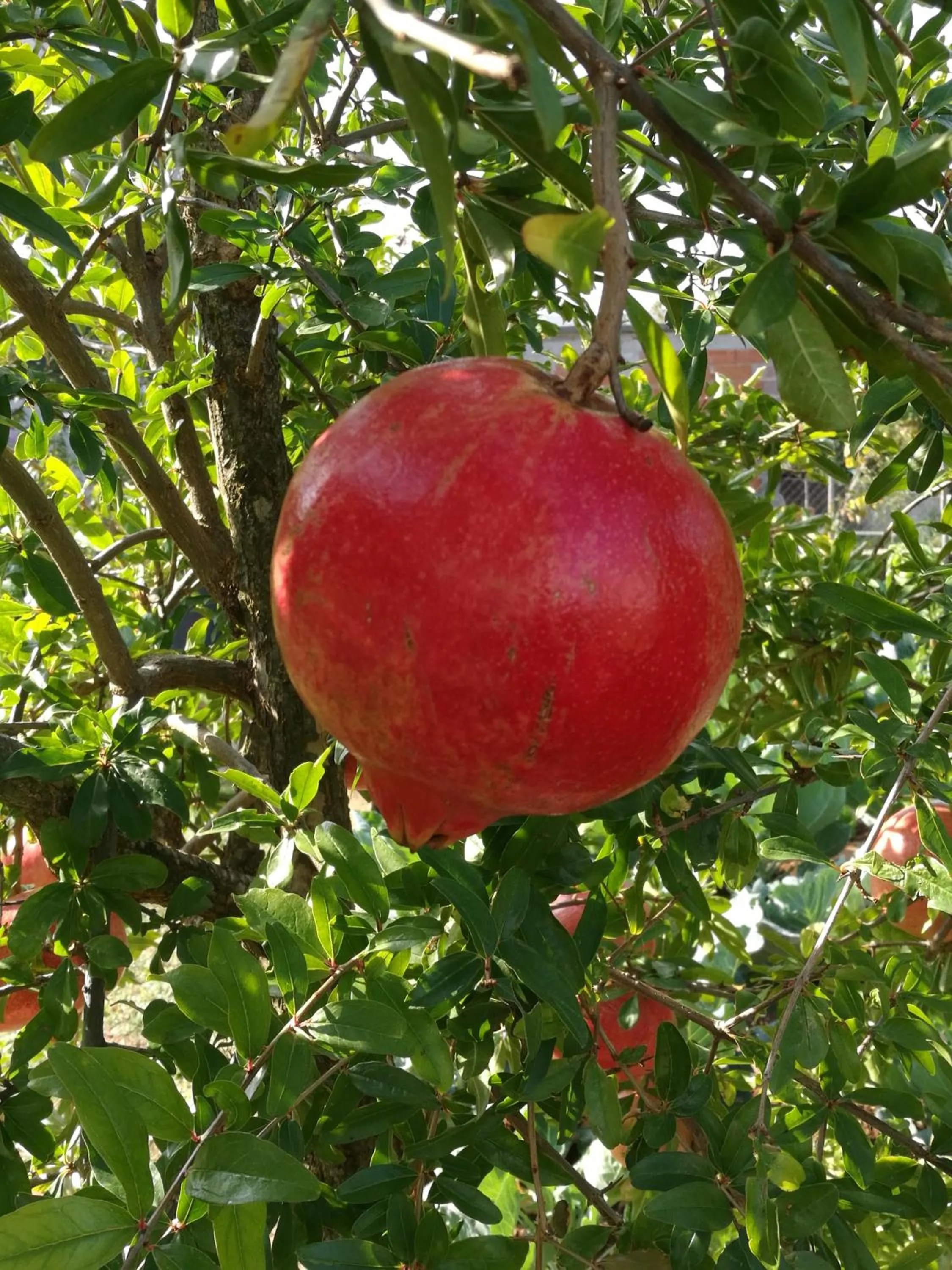 Natural landscape in Guesthouse Villa DomeNico