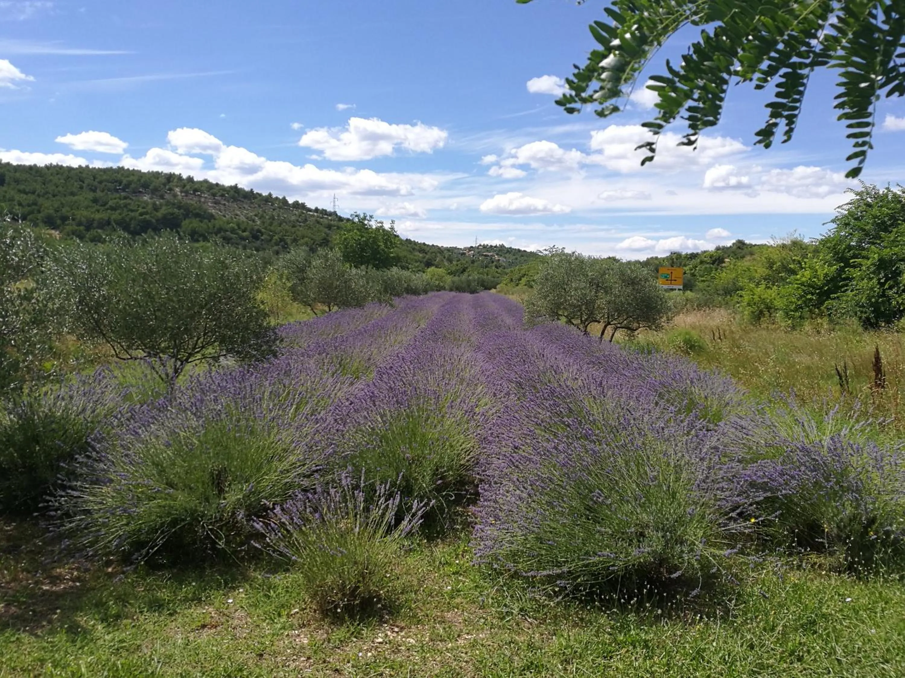 Neighbourhood in Guesthouse Villa DomeNico