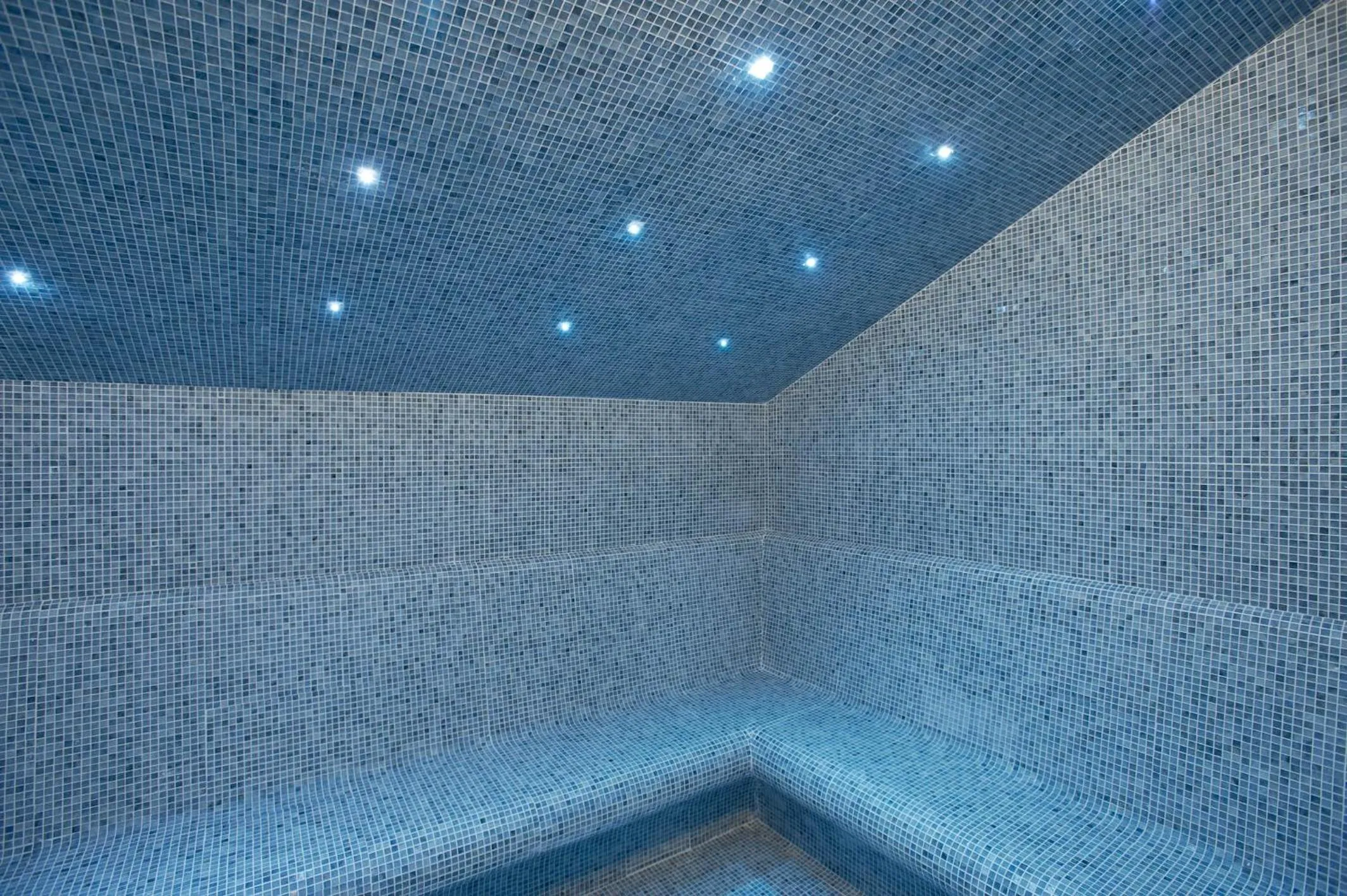 Steam room in Hotel Sancho Abarca Petit SPA