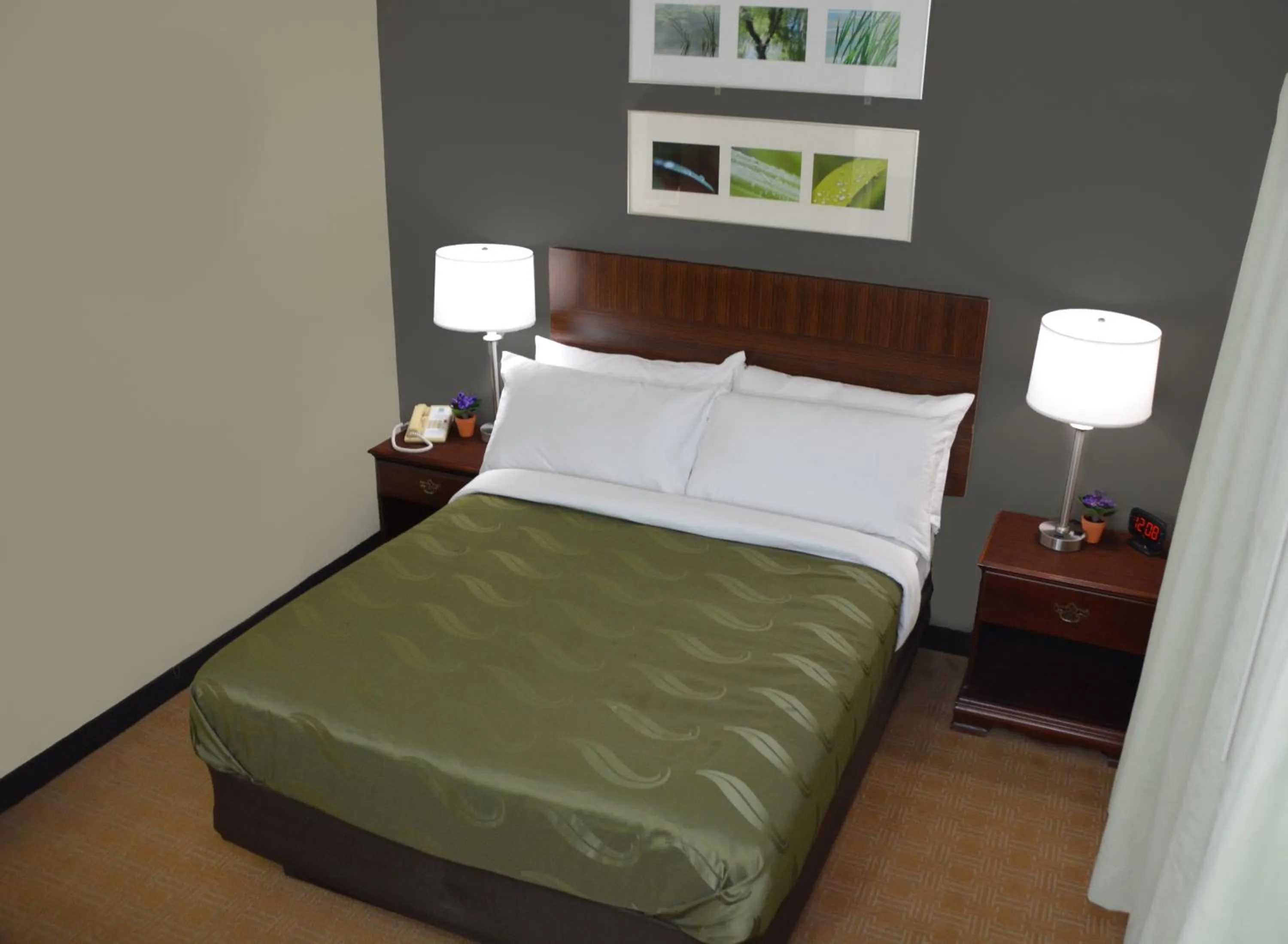 Quality Inn & Suites Dublin