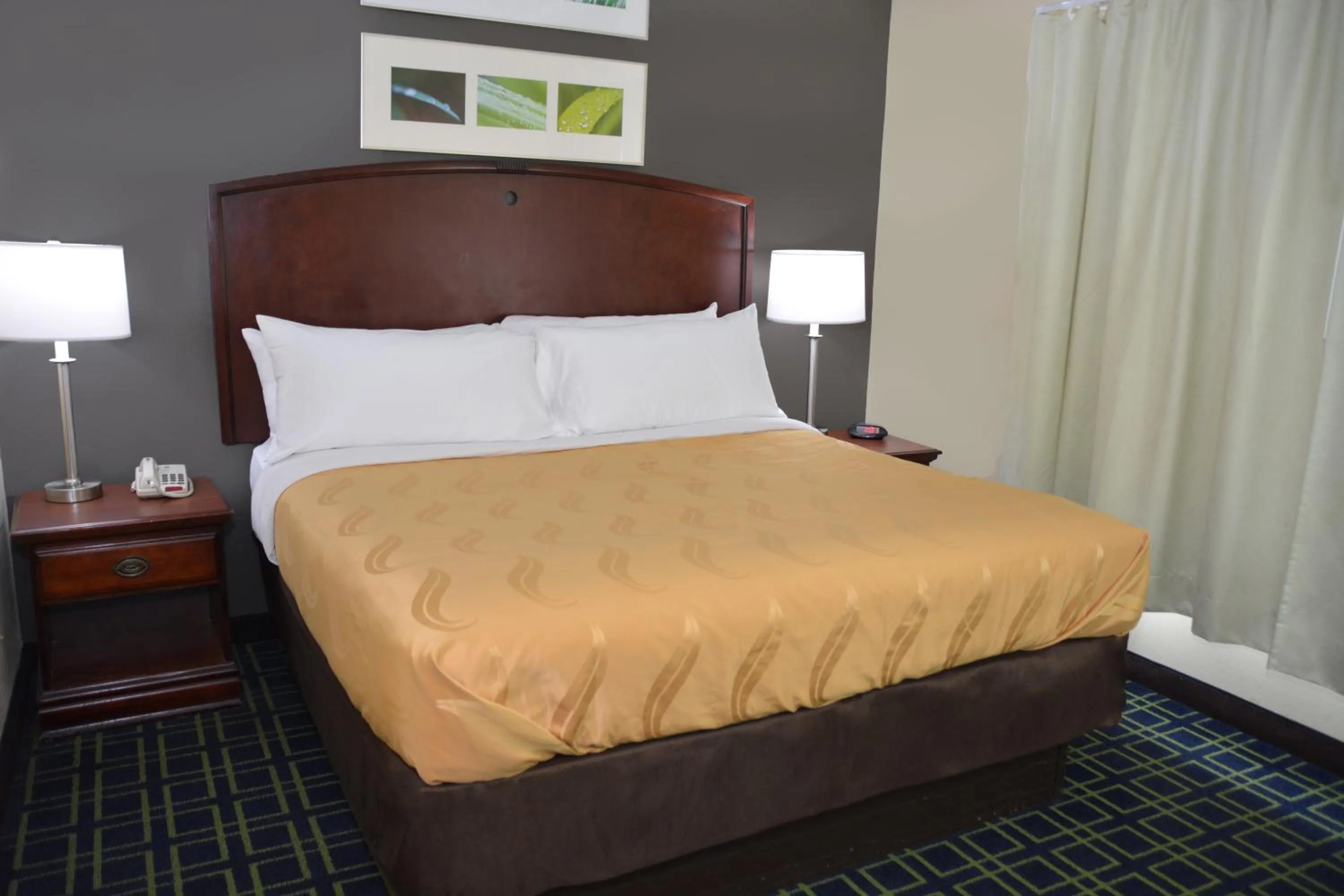Quality Inn & Suites Dublin