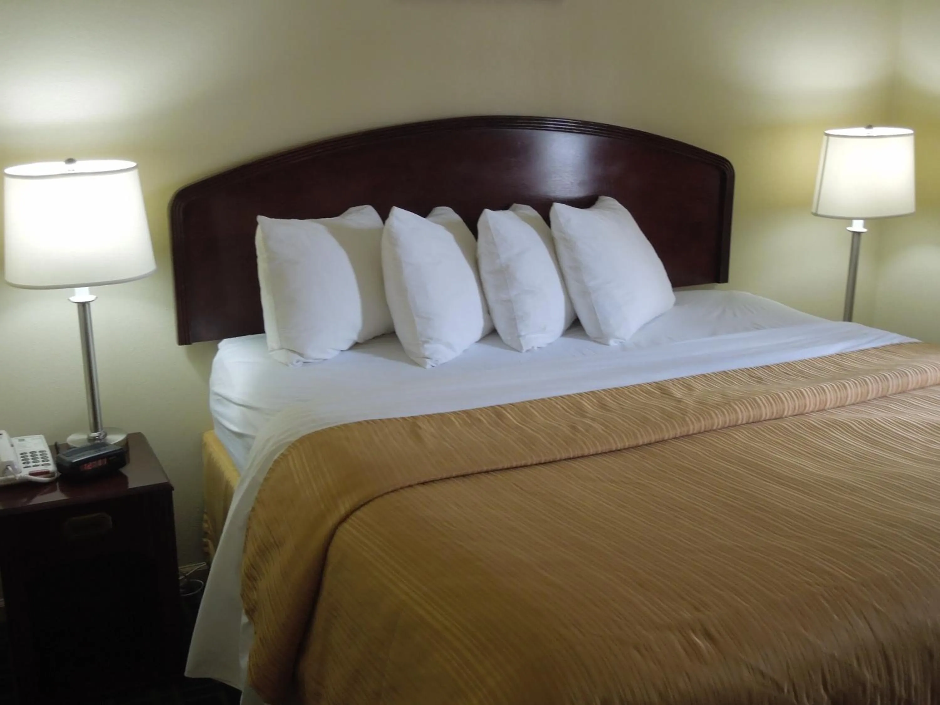 Quality Inn & Suites Dublin