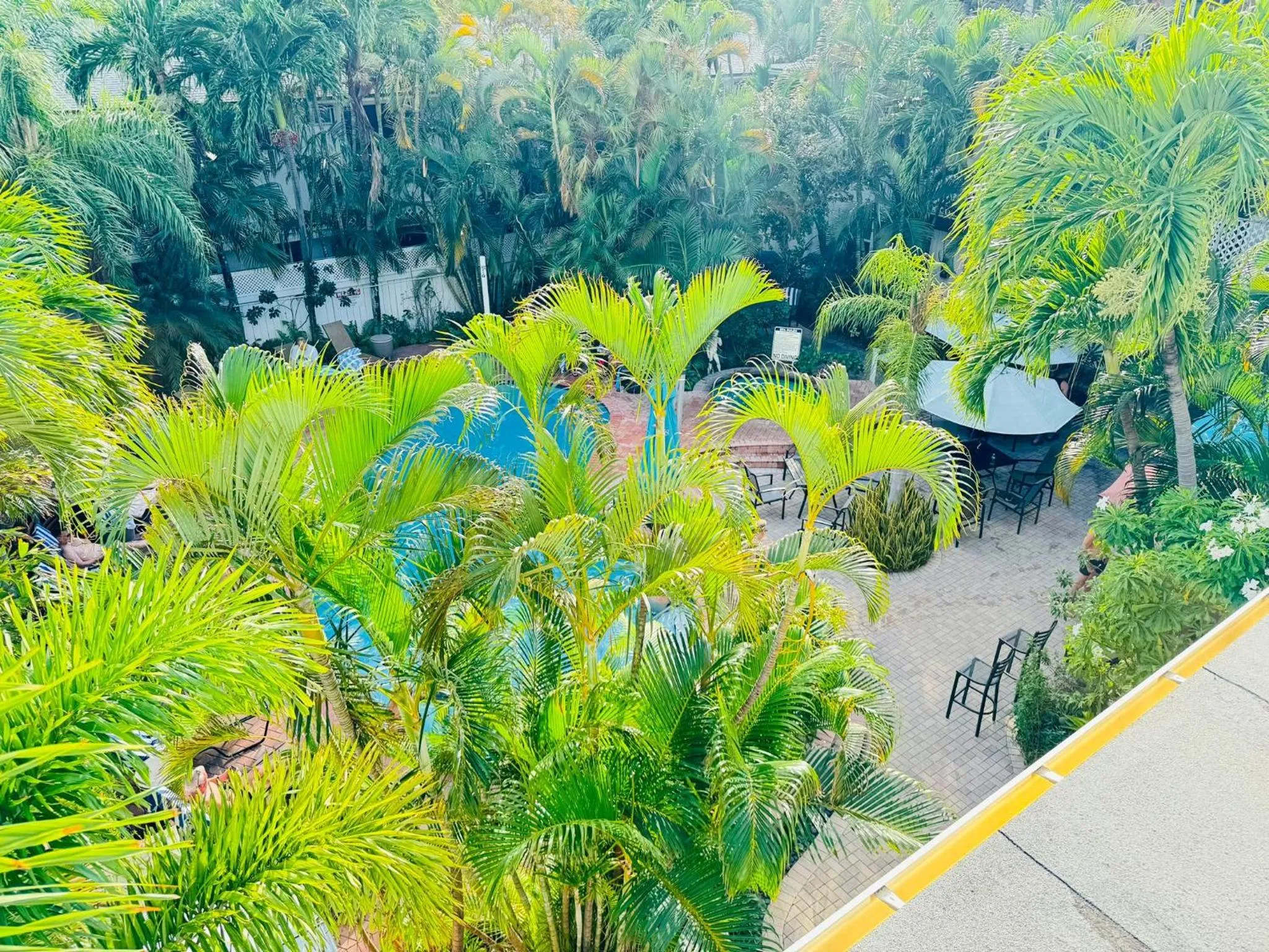 Garden in The Grand Resort and Spa & Worthington All Male