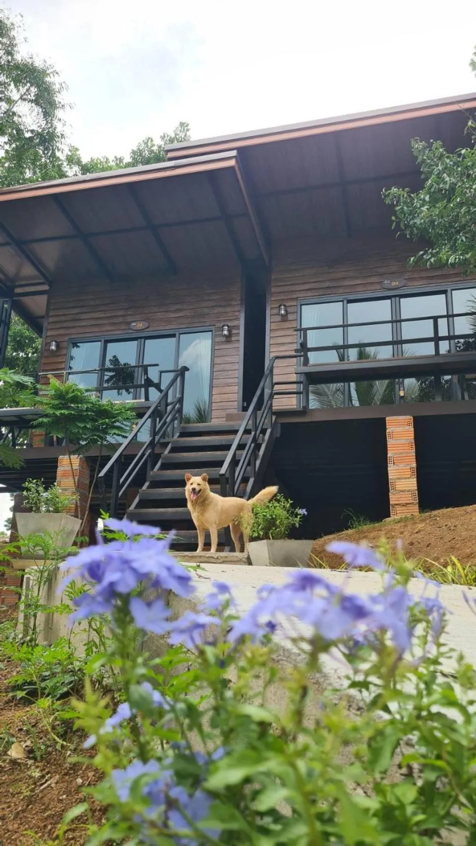 Garden in Baan Suan Hill Resort