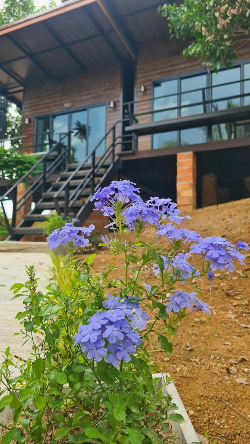 Property building in Baan Suan Hill Resort